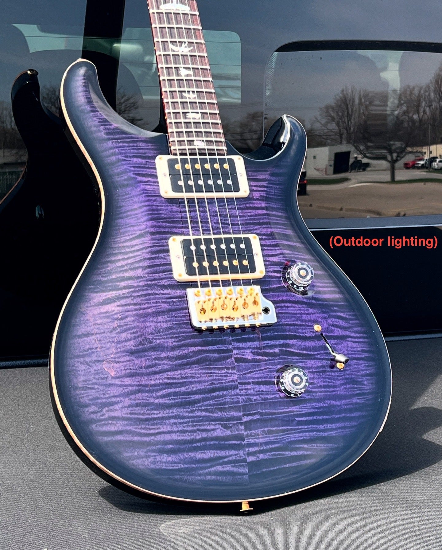 PRS 2024 Custom 24 10 Top Electric Guitar - Purple Mist
