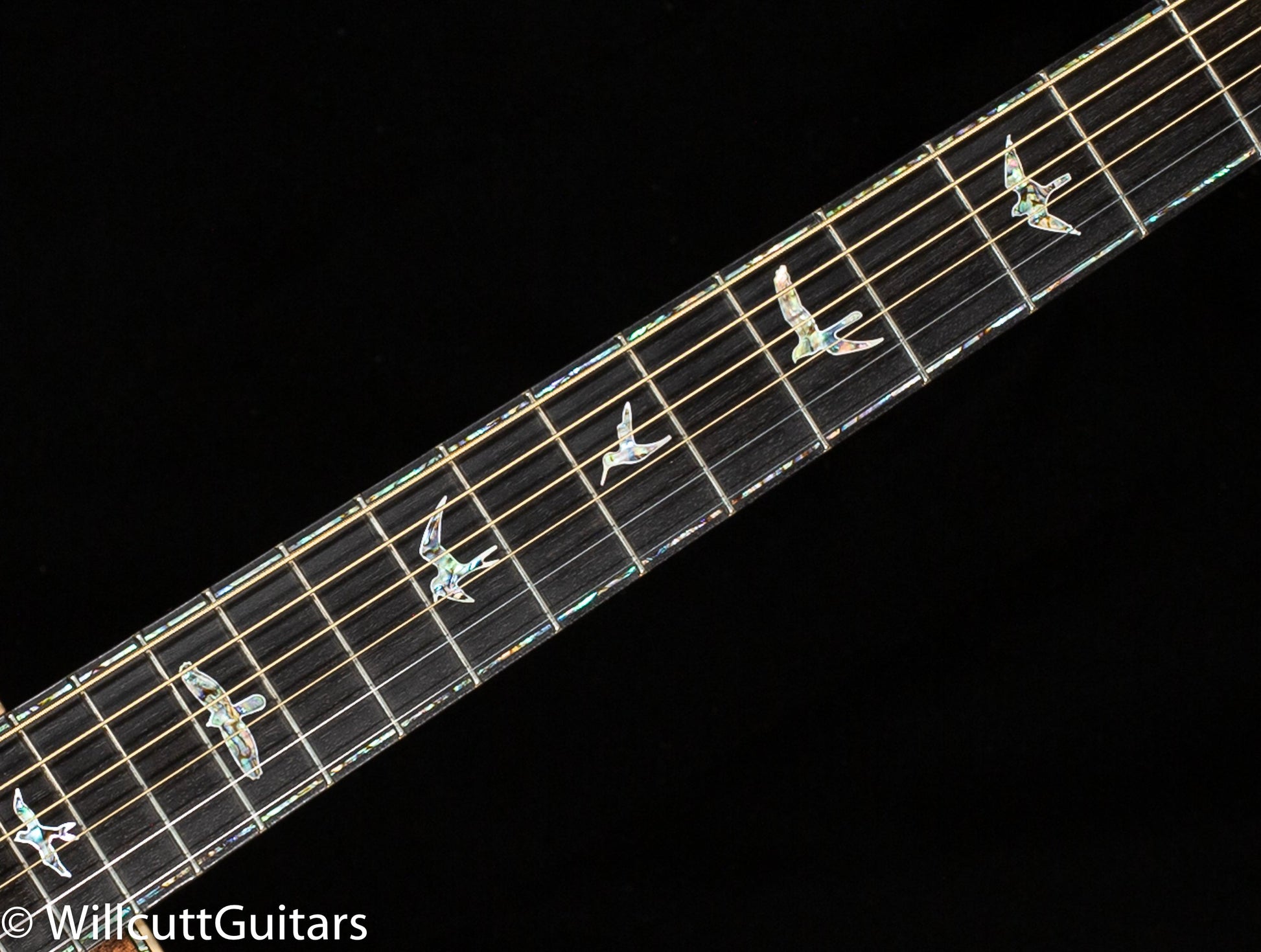 PRS Private Stock 5053 Tonare Figured Walnut