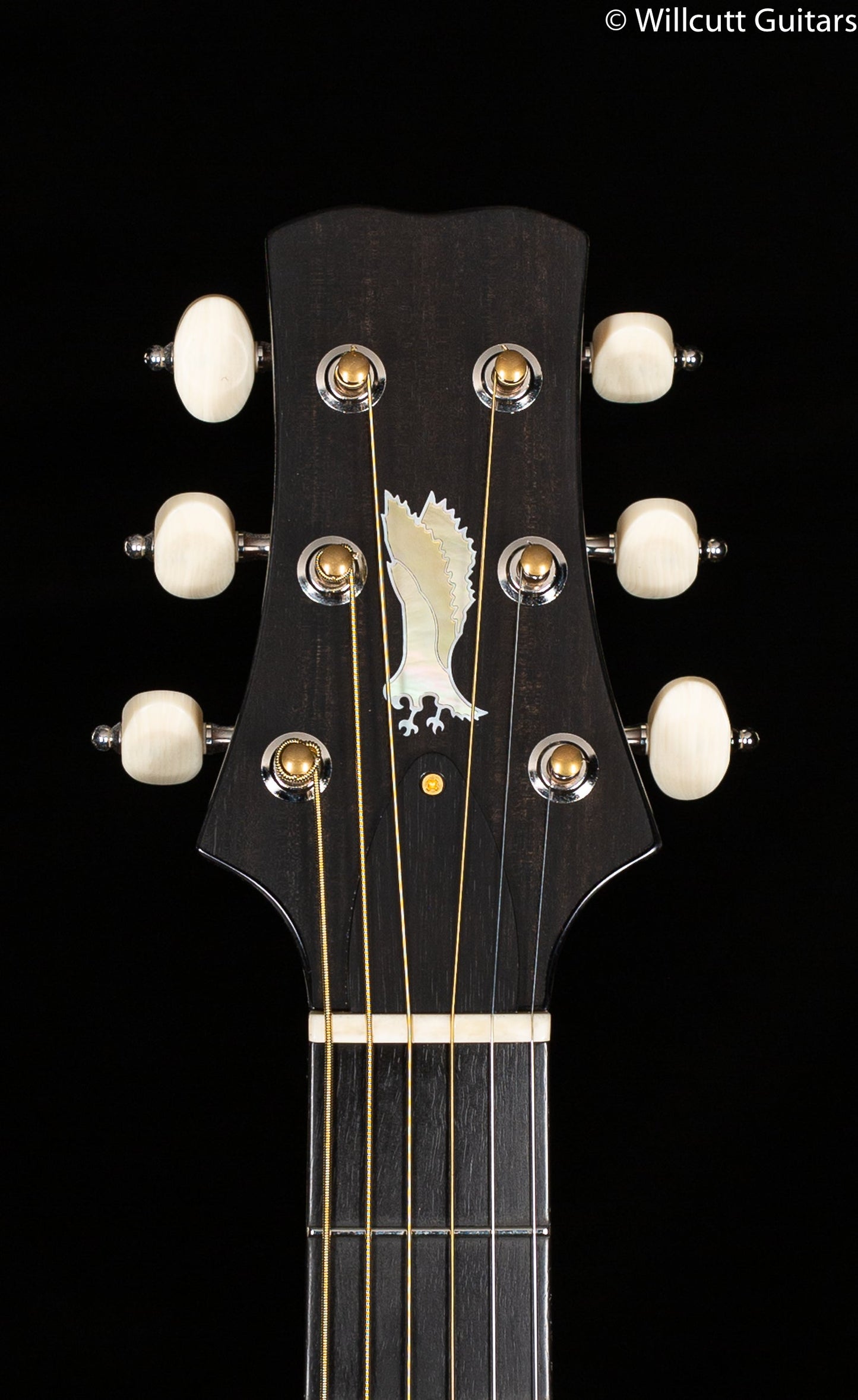 PRS Private Stock 8640 Angelus Cocobolo