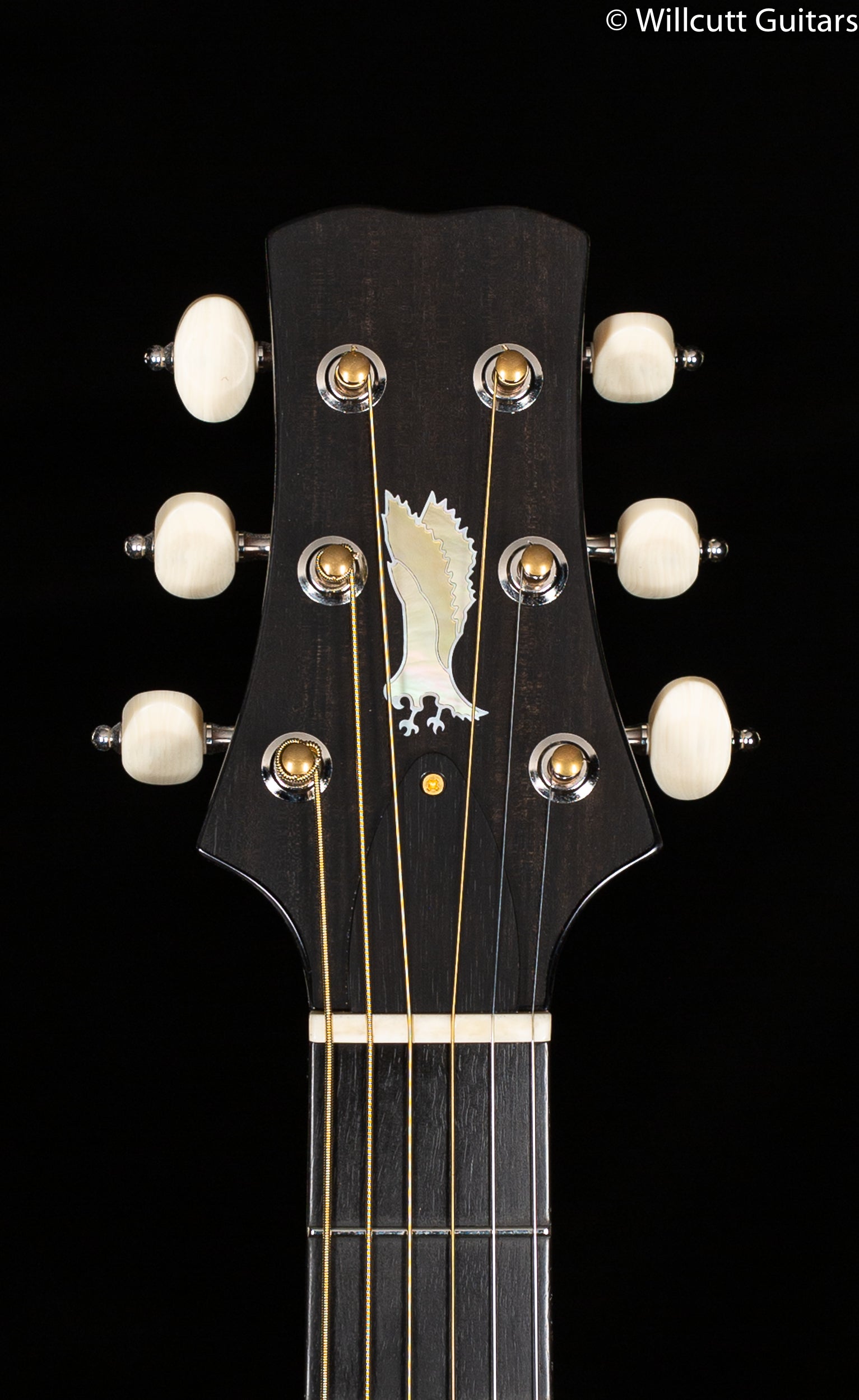PRS Private Stock 8640 Angelus Cocobolo
