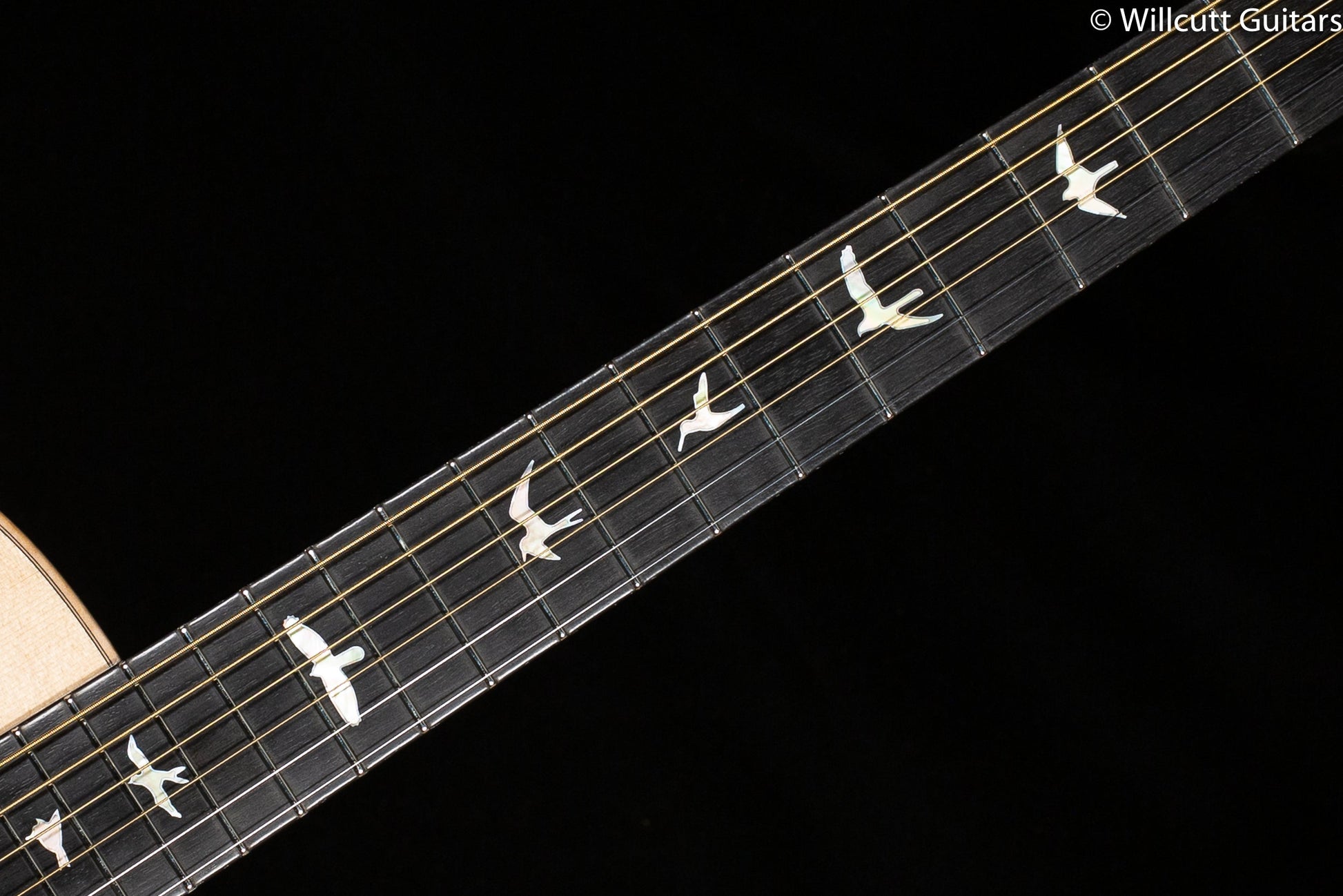 PRS Private Stock 8640 Angelus Cocobolo