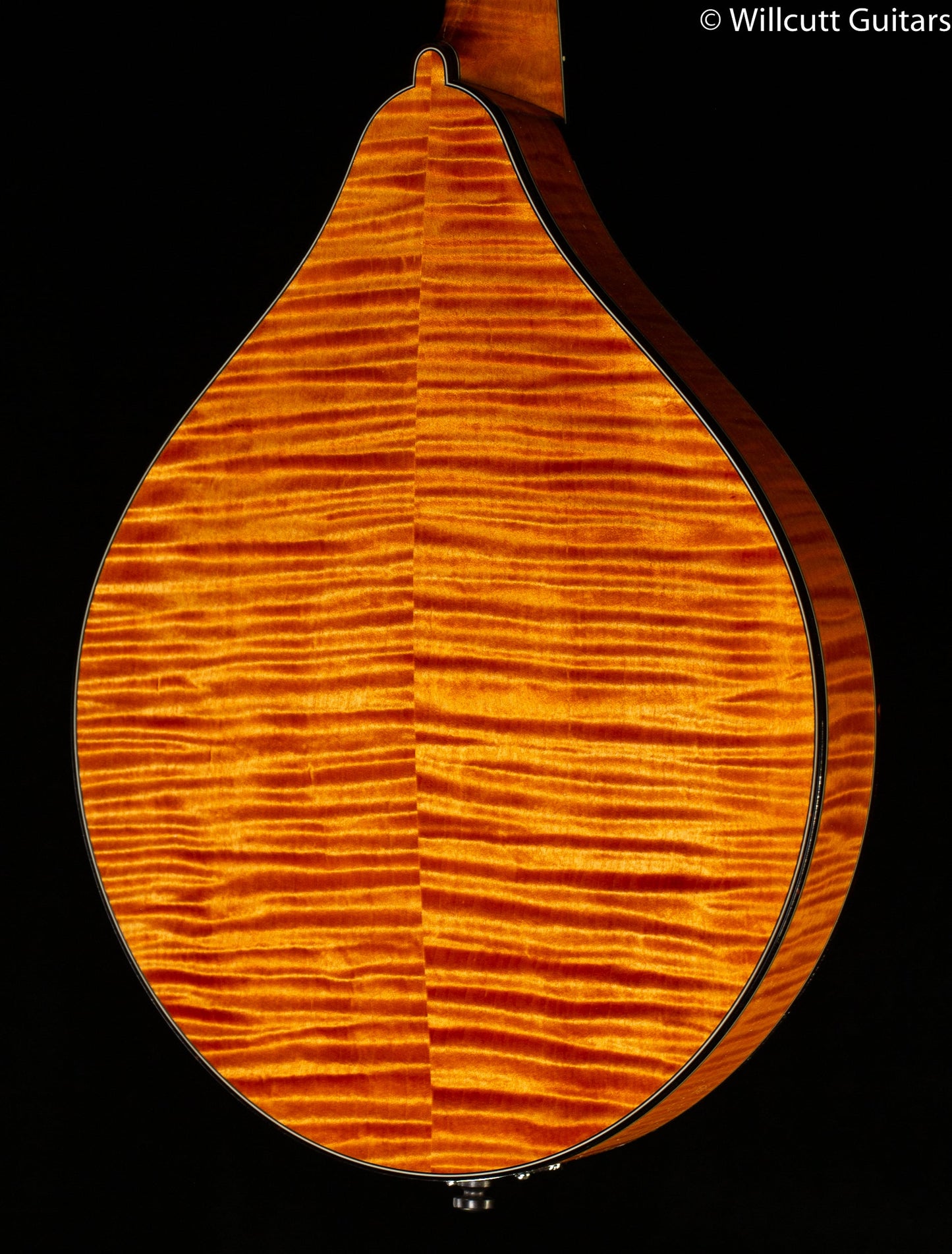 Collings MT2 A Style Mandolin (522)