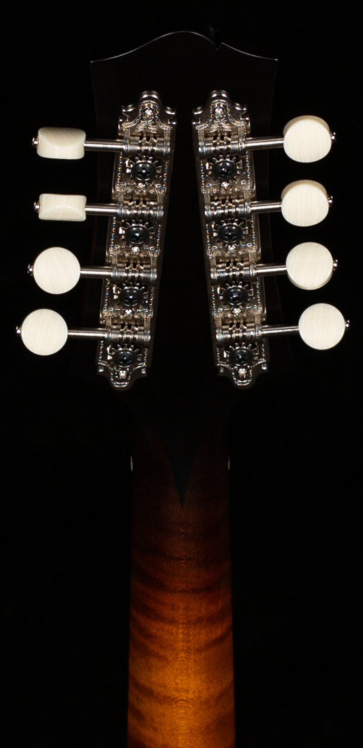 Collings MT O Mandolin Gloss Top Ivoroid Binding (638)