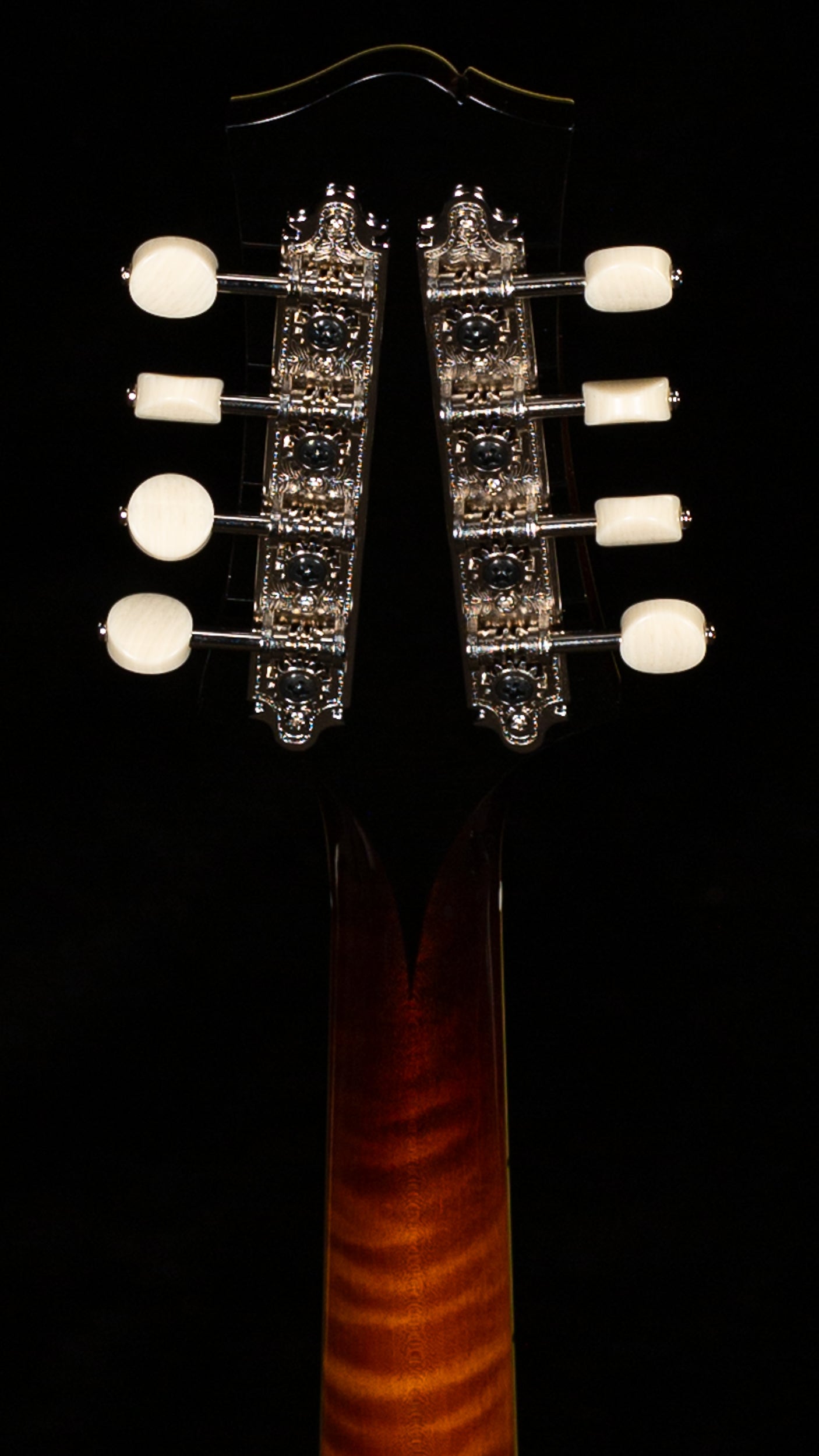 Collings MT2 Varnish Mandolin (712)