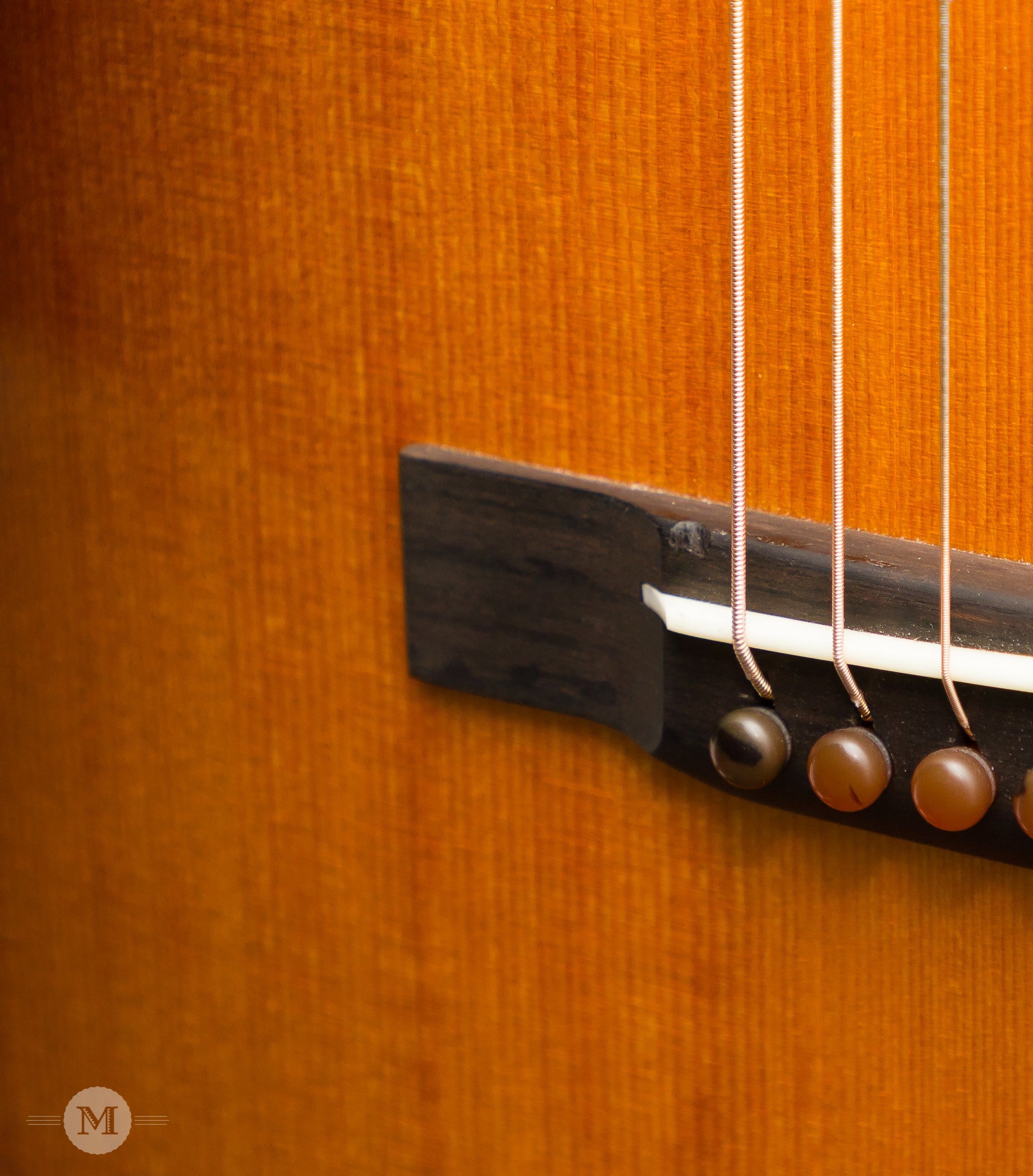 Leo Posch Acoustic Guitars - AJ RW