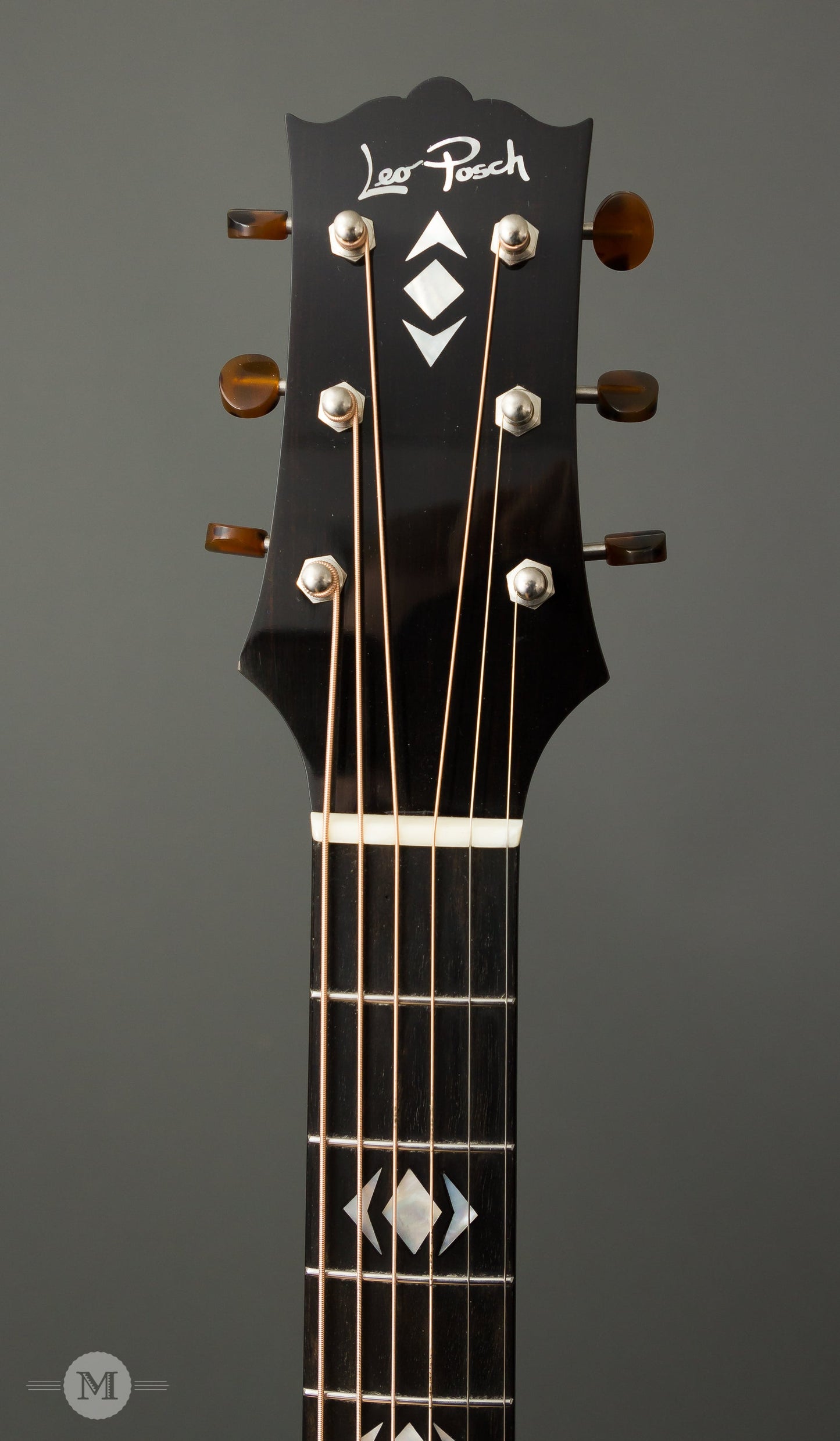Leo Posch Acoustic Guitars - AJ RW