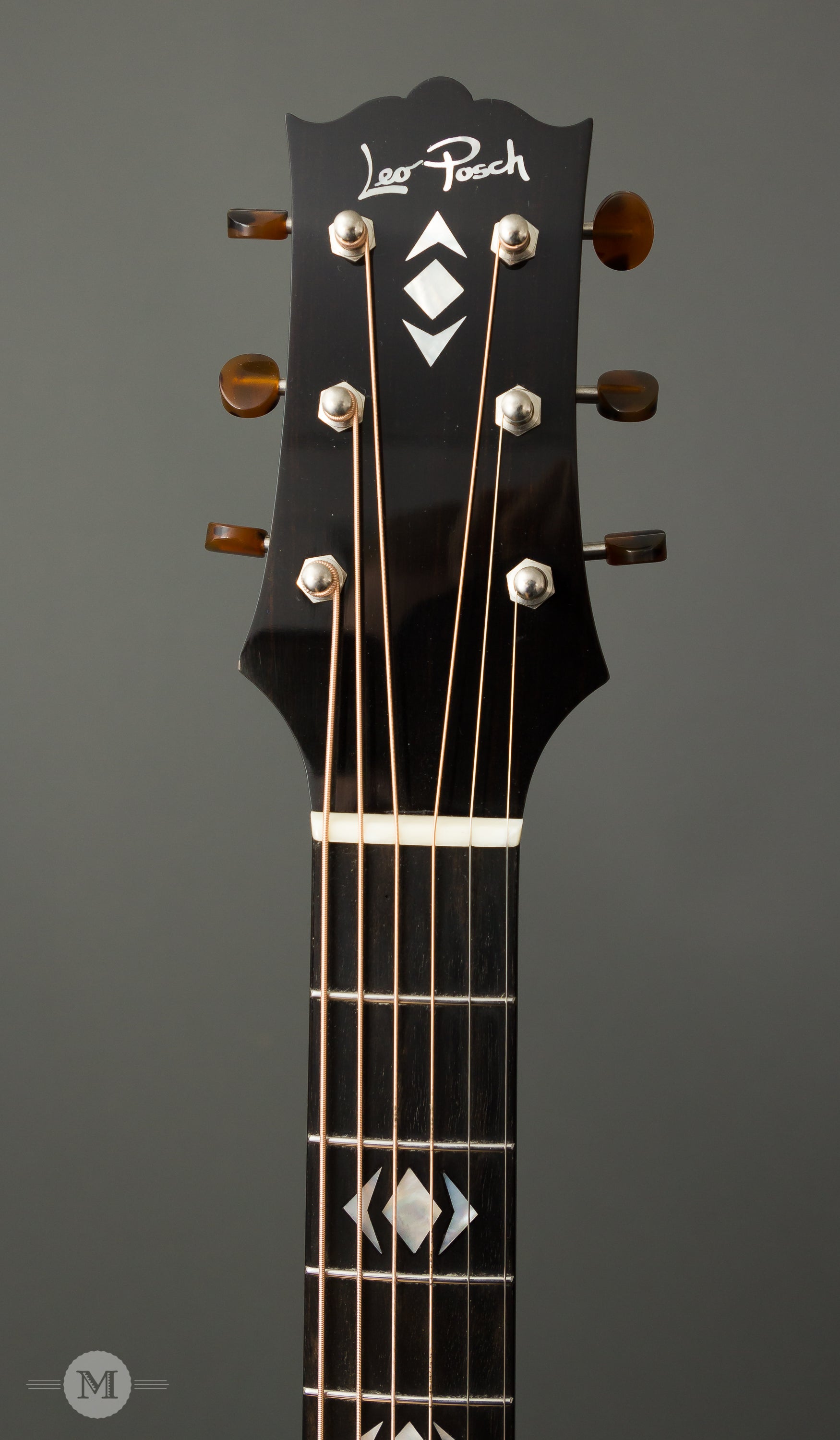 Leo Posch Acoustic Guitars - AJ RW
