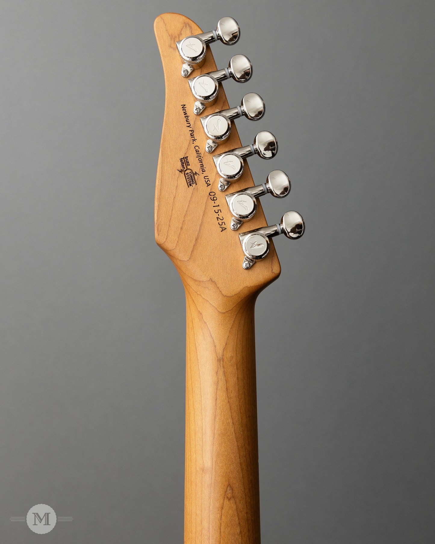 Tom Anderson Guitarworks - T Icon - Lake Placid Blue