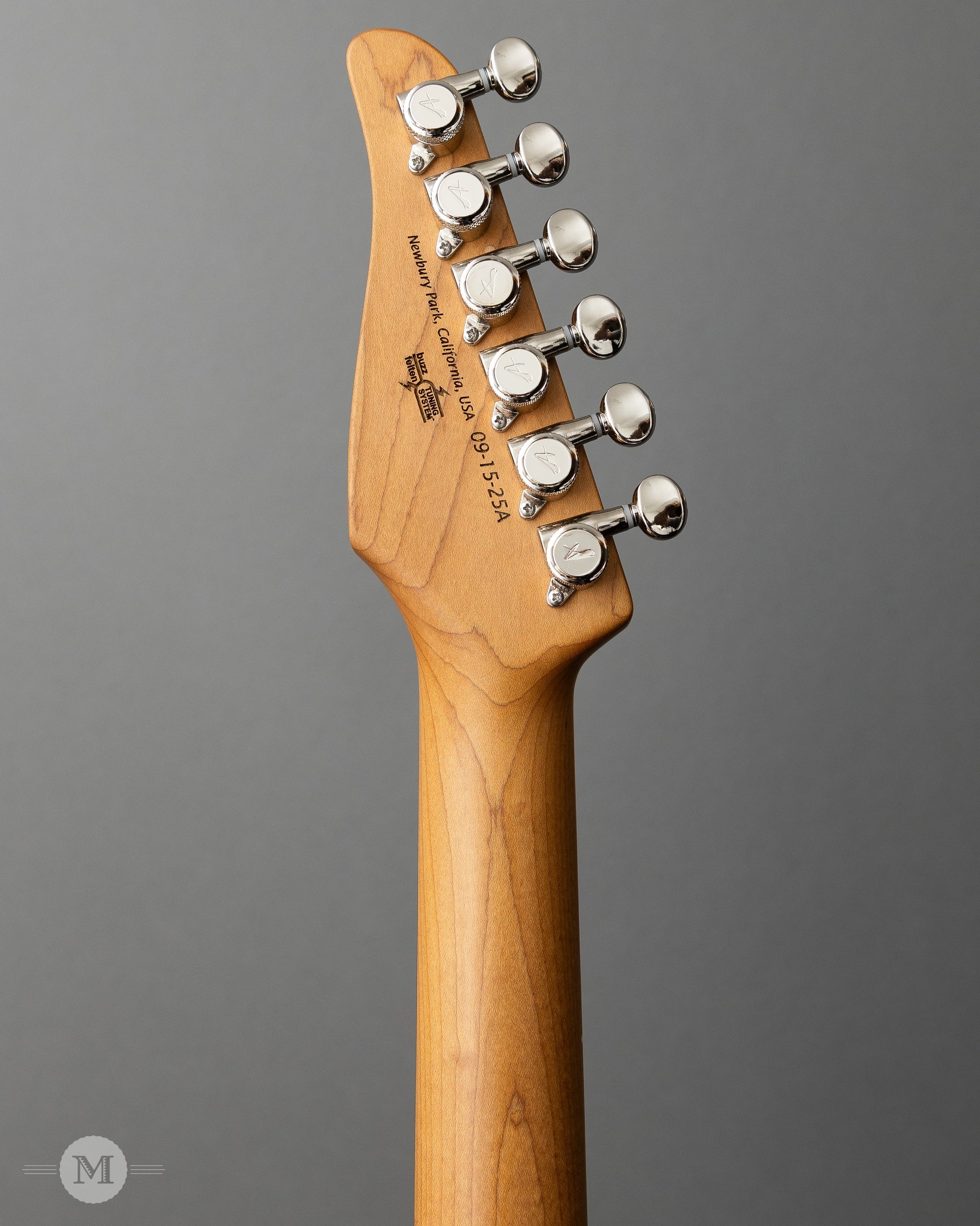 Tom Anderson Guitarworks - T Icon - Lake Placid Blue
