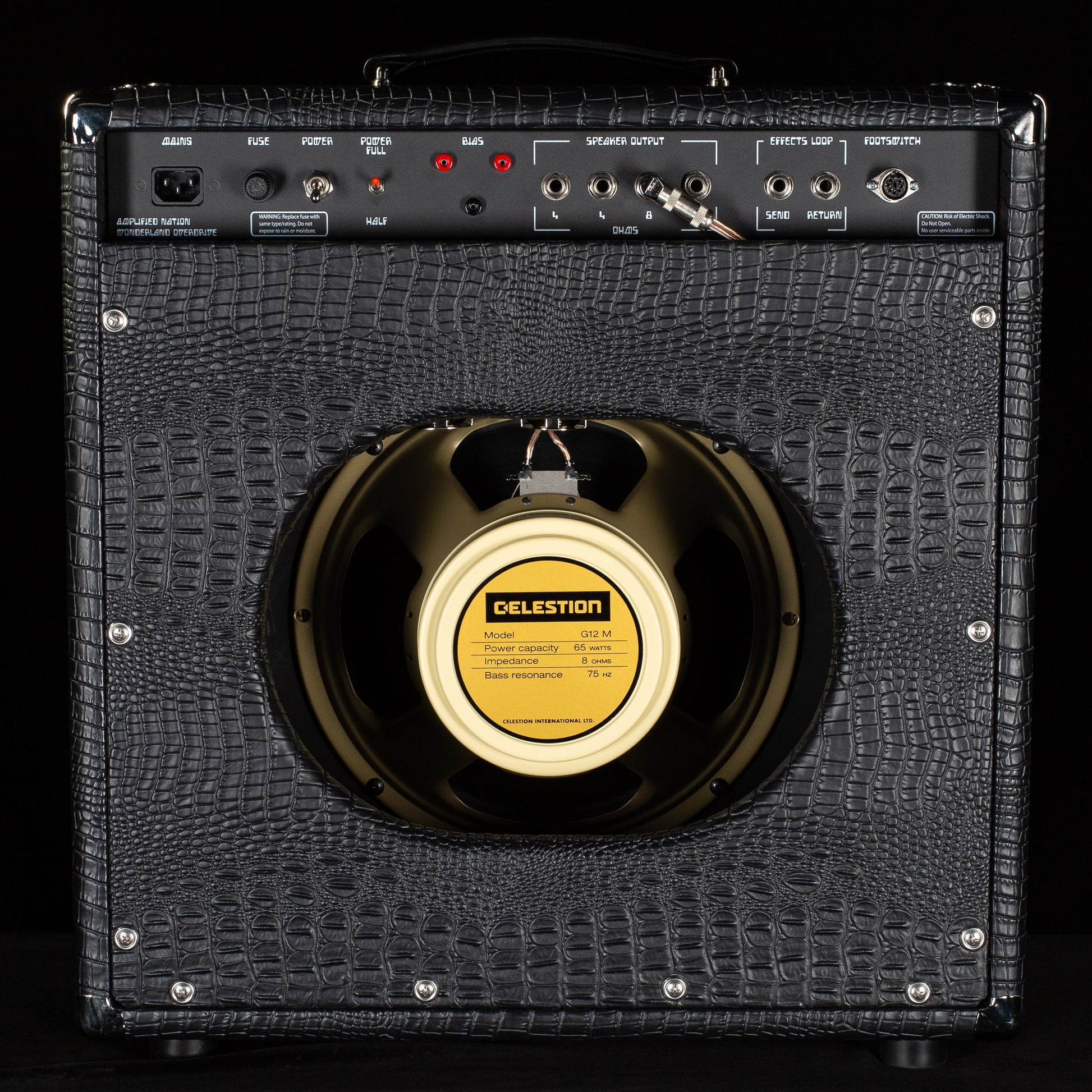 Amplified Nation Wonderland Overdrive 50w Combo Black Croc/Black Cloth + Creamback (660)