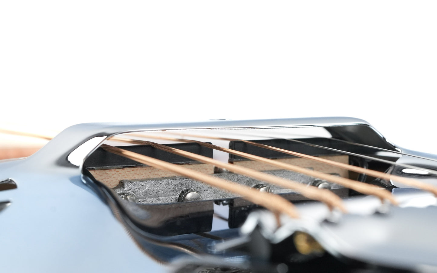 Beard Legacy E  Squareneck Curly Maple