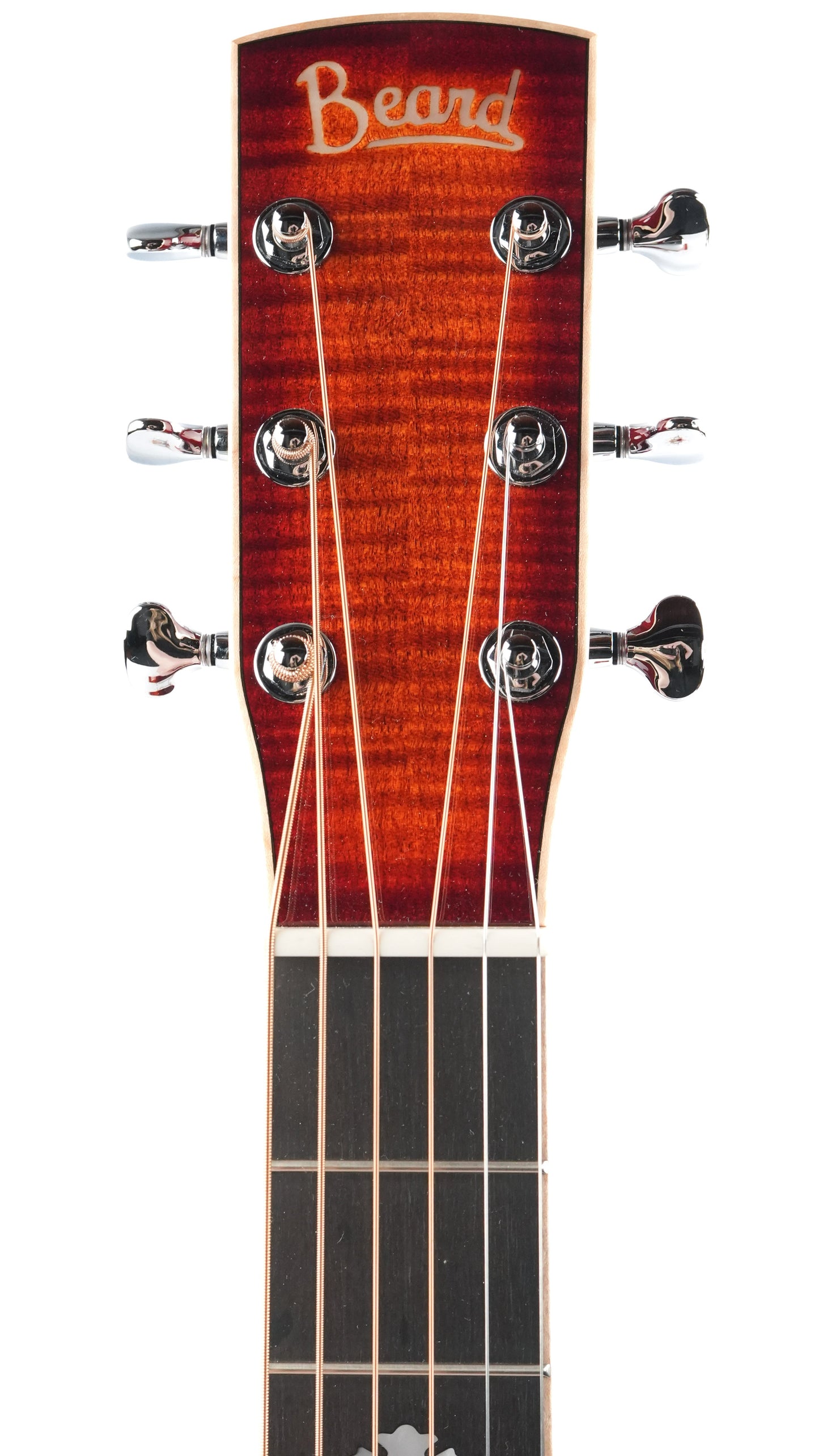 Beard Legacy E  Squareneck Curly Maple