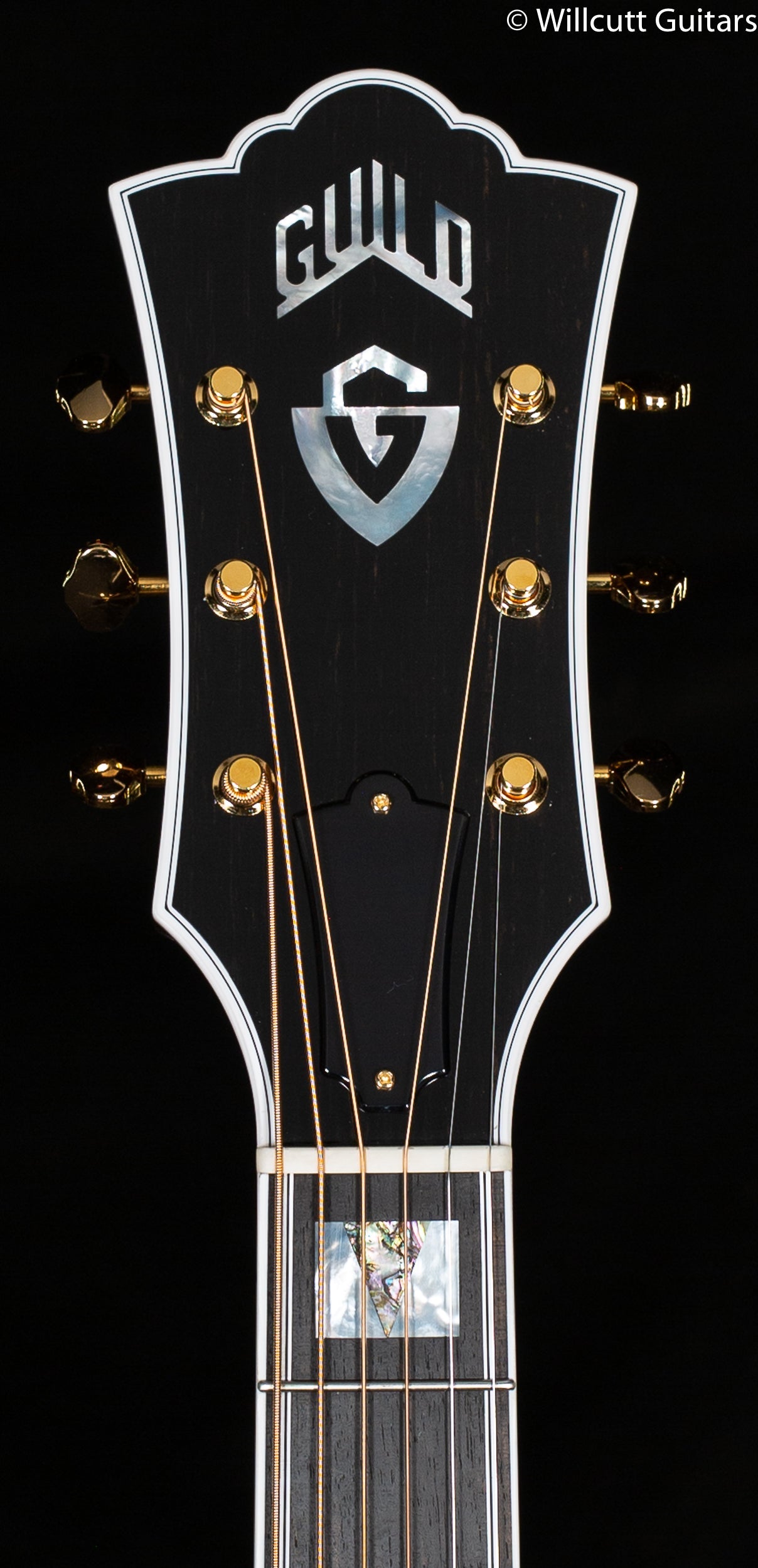 Guild D-55E Natural (800)