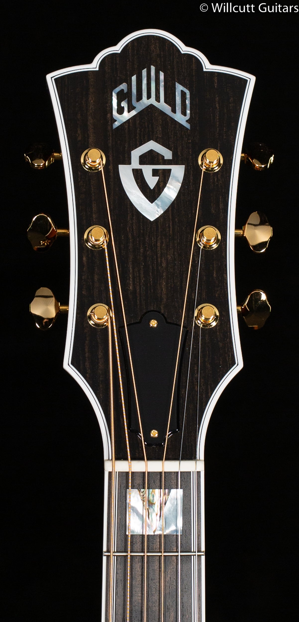 Guild F-55E Maple ATB W/C (089)
