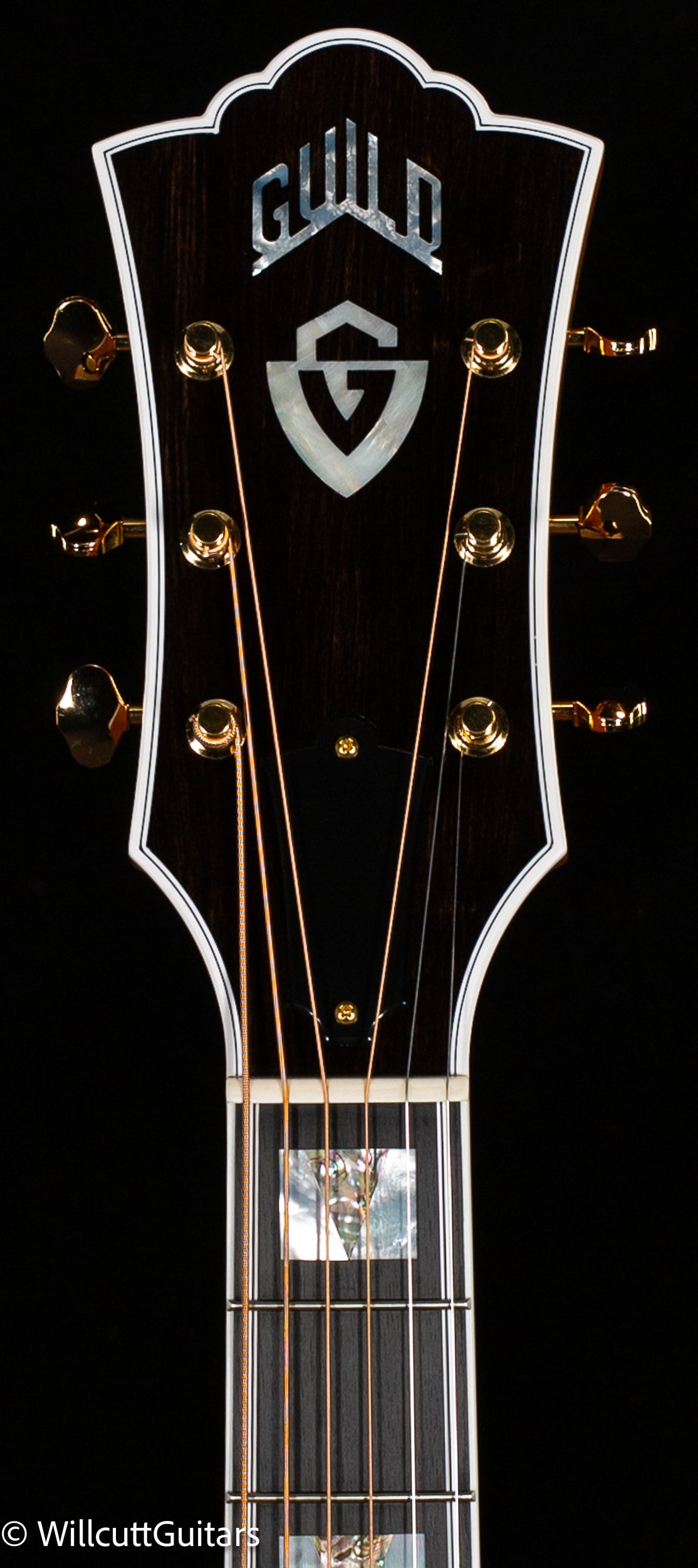 Guild F-55E Maple (244)