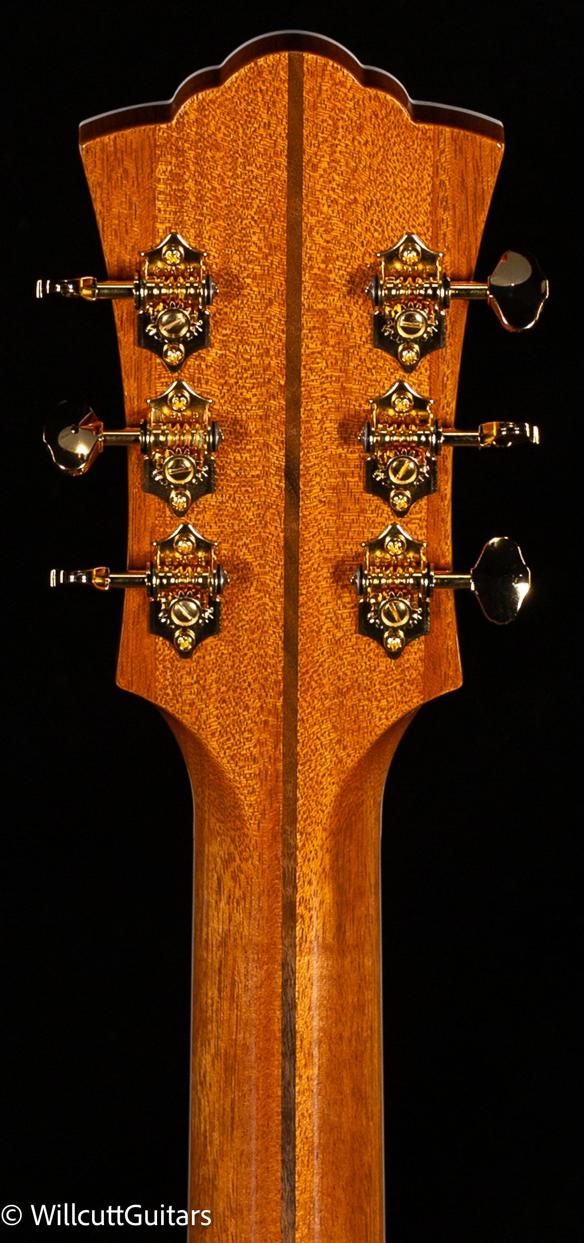 Guild F-55E Maple (244)