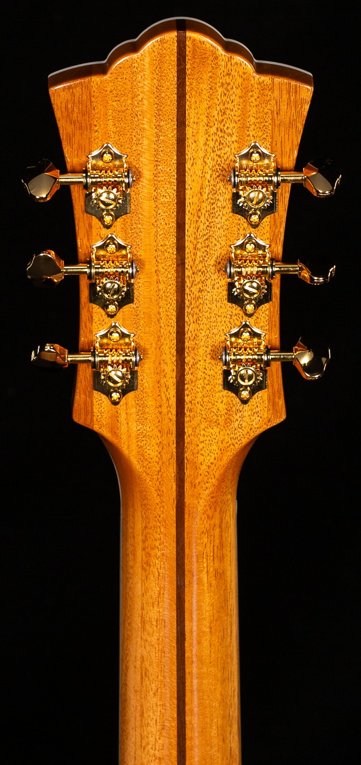 Guild F-55E Maple (278)