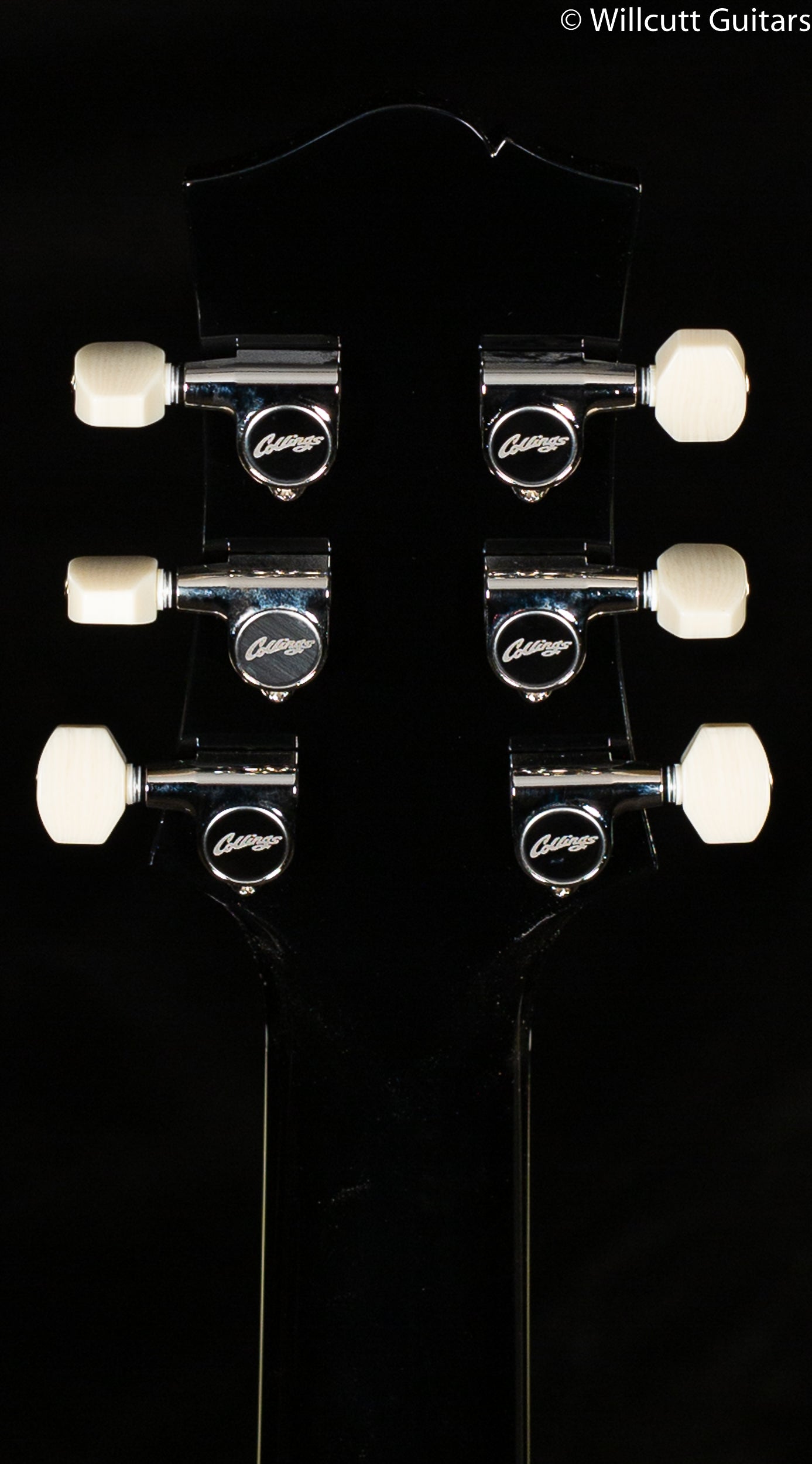 Collings City Limits Jet Black Full Body (515)