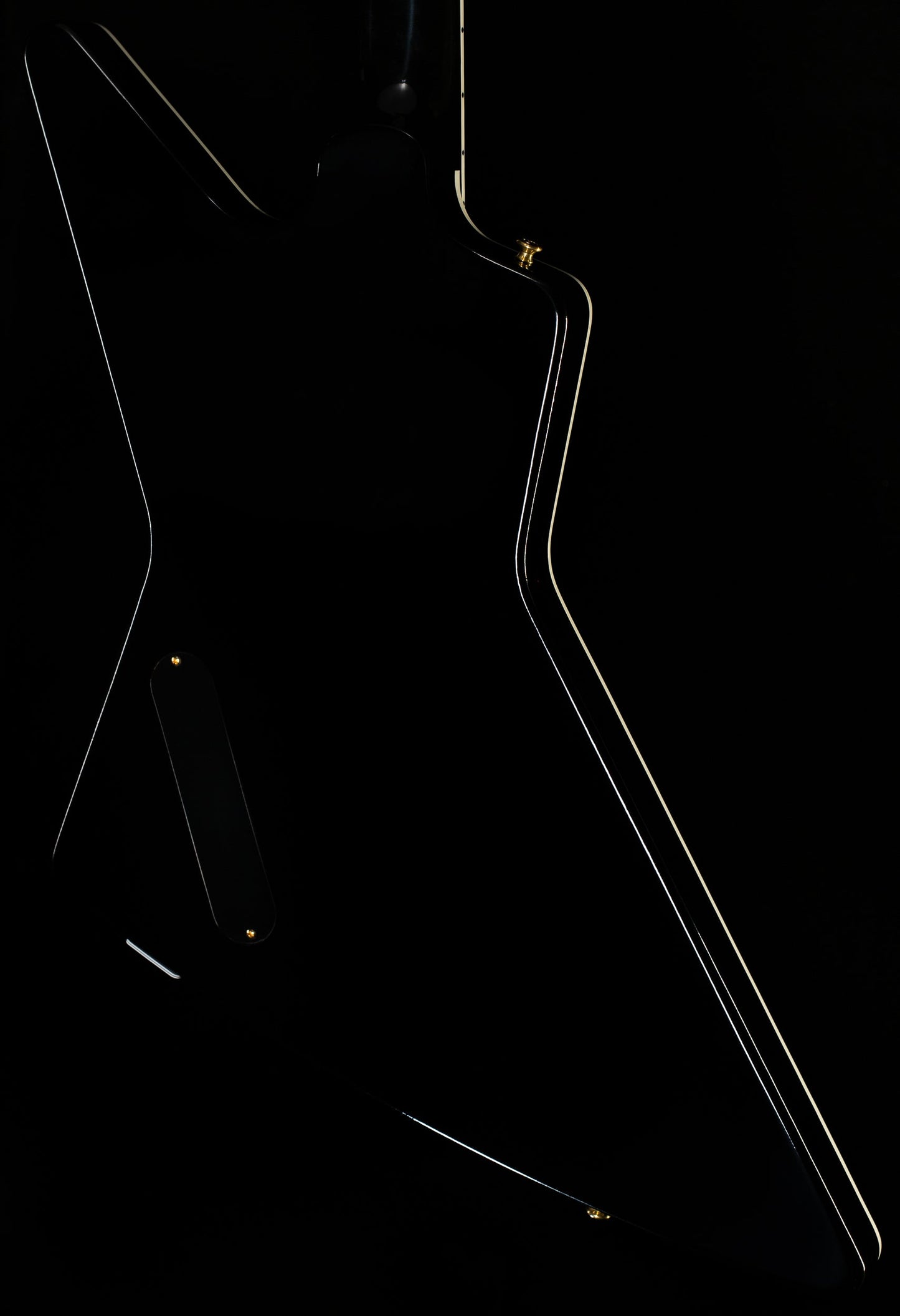 Gibson Custom Shop Explorer Custom Ebony Gloss (828)