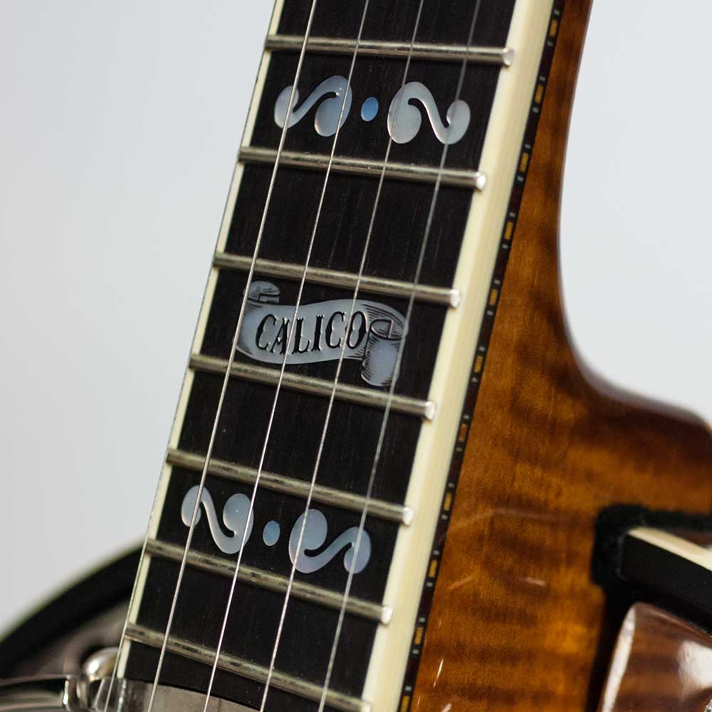 Deering Calico 5 String Banjo