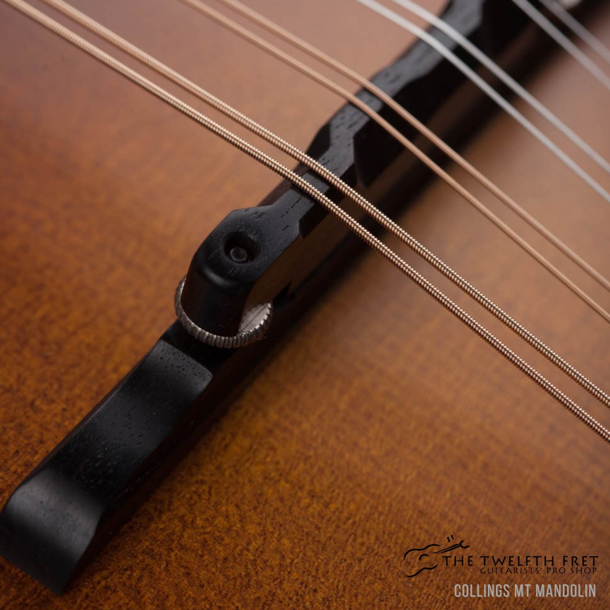 Collings MT Mandolin