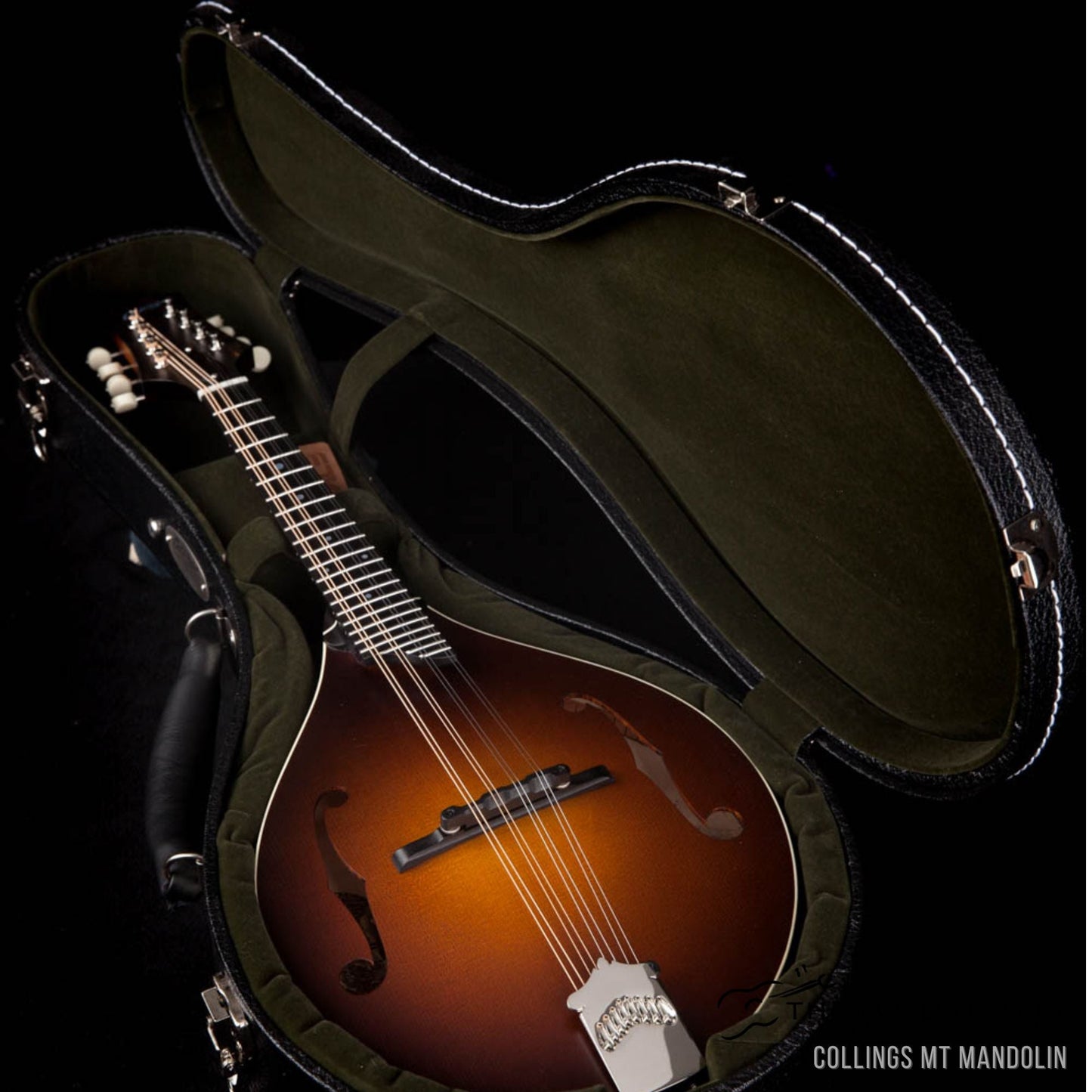 Collings MT Mandolin