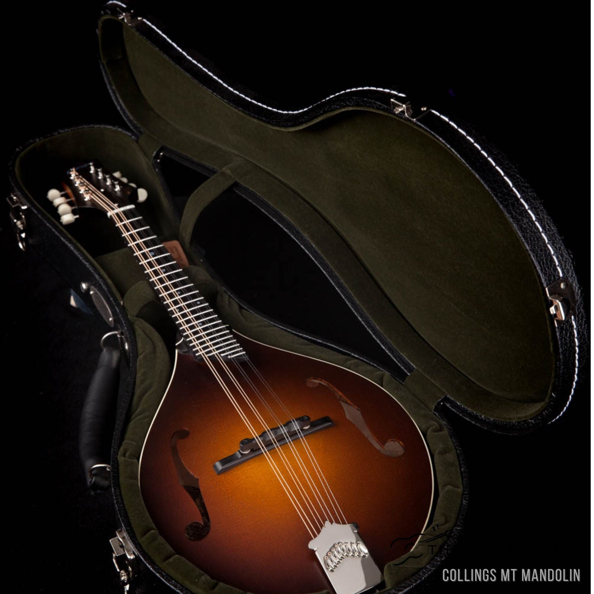 Collings MT Mandolin