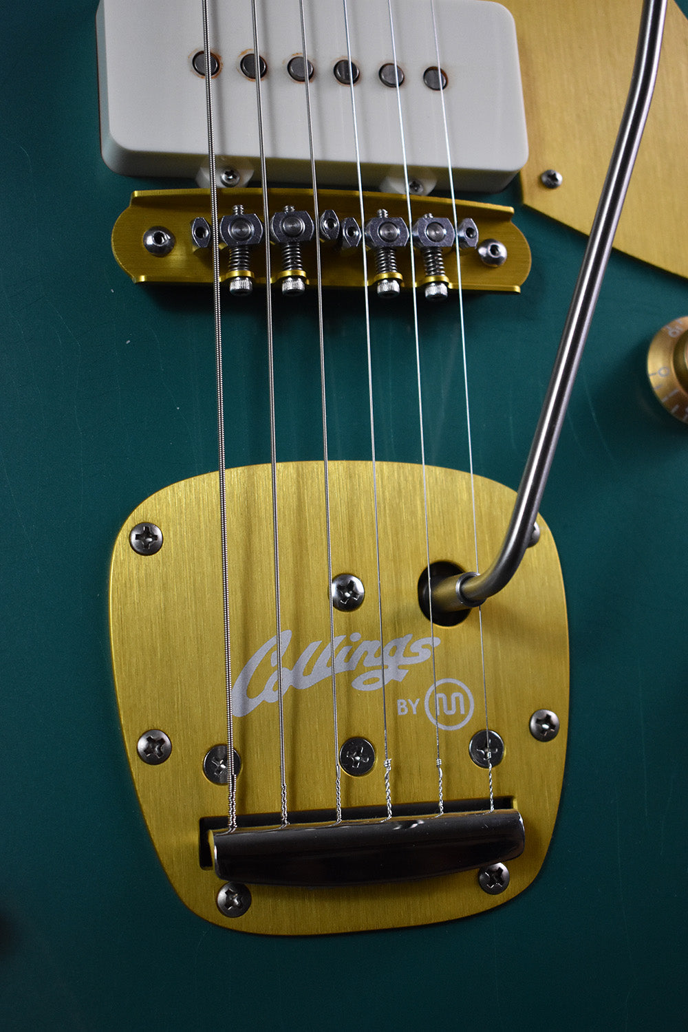 Collings 360 LT M Special Edition