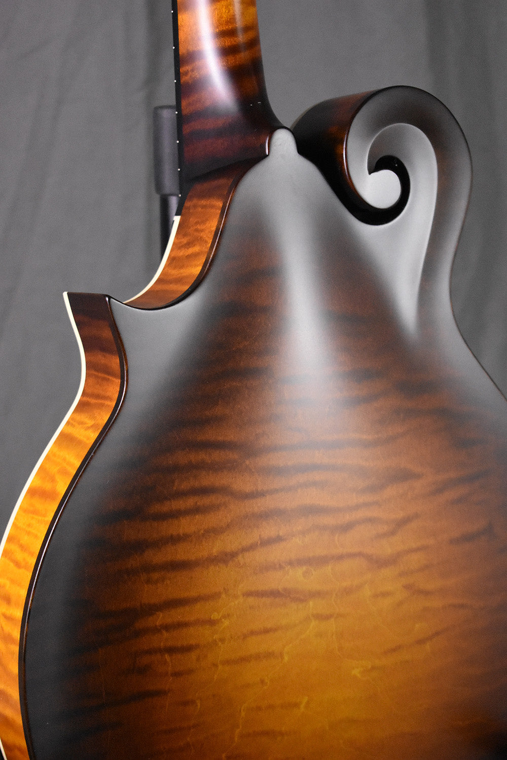 Collings MF O Gloss Black Top