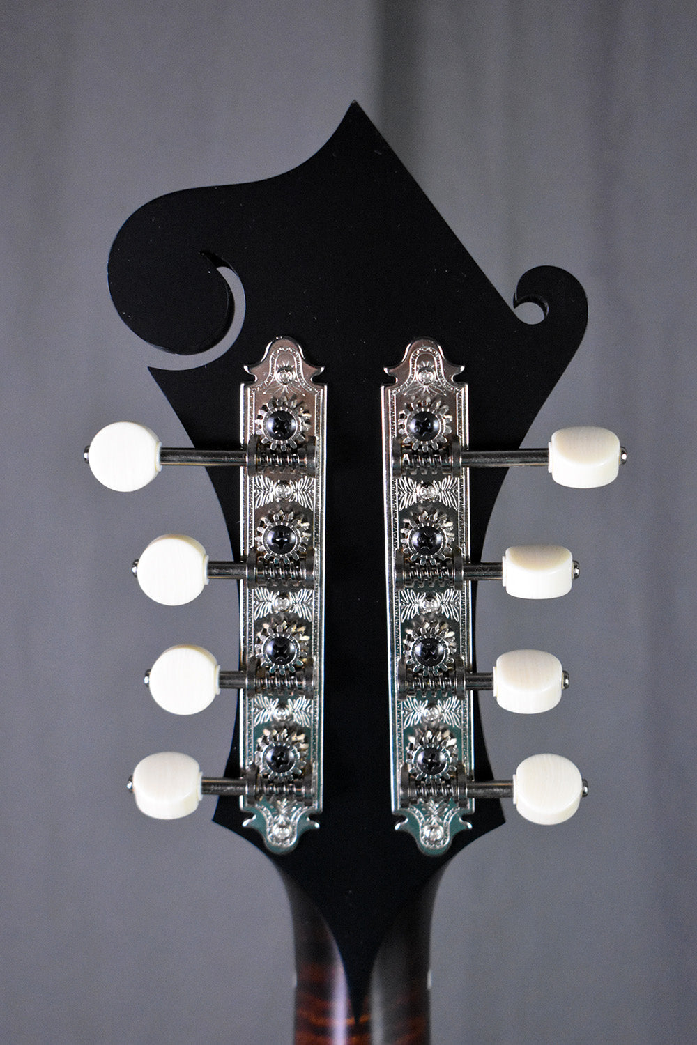 Collings MF O Gloss Black Top