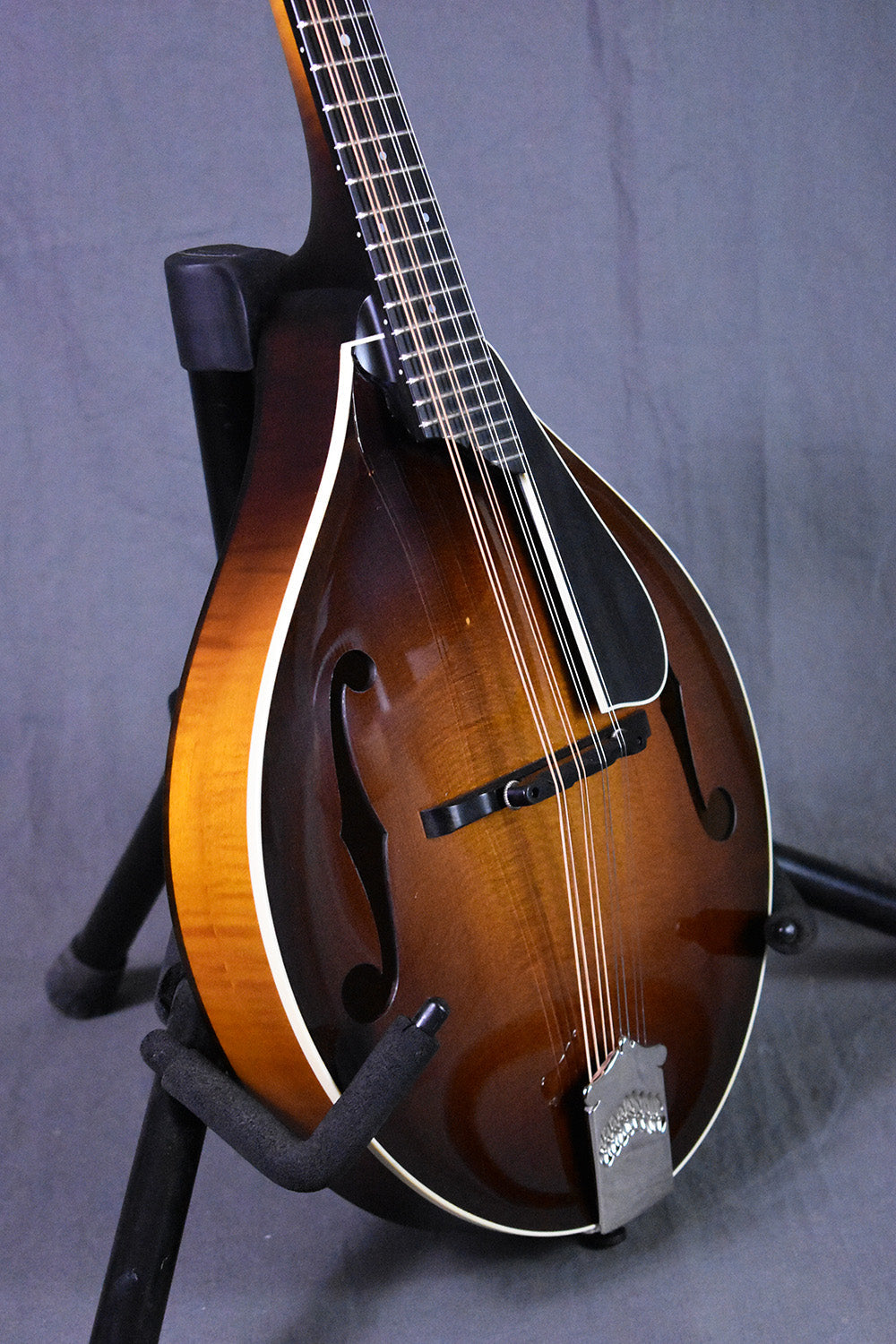 Collings MT Torrefied
