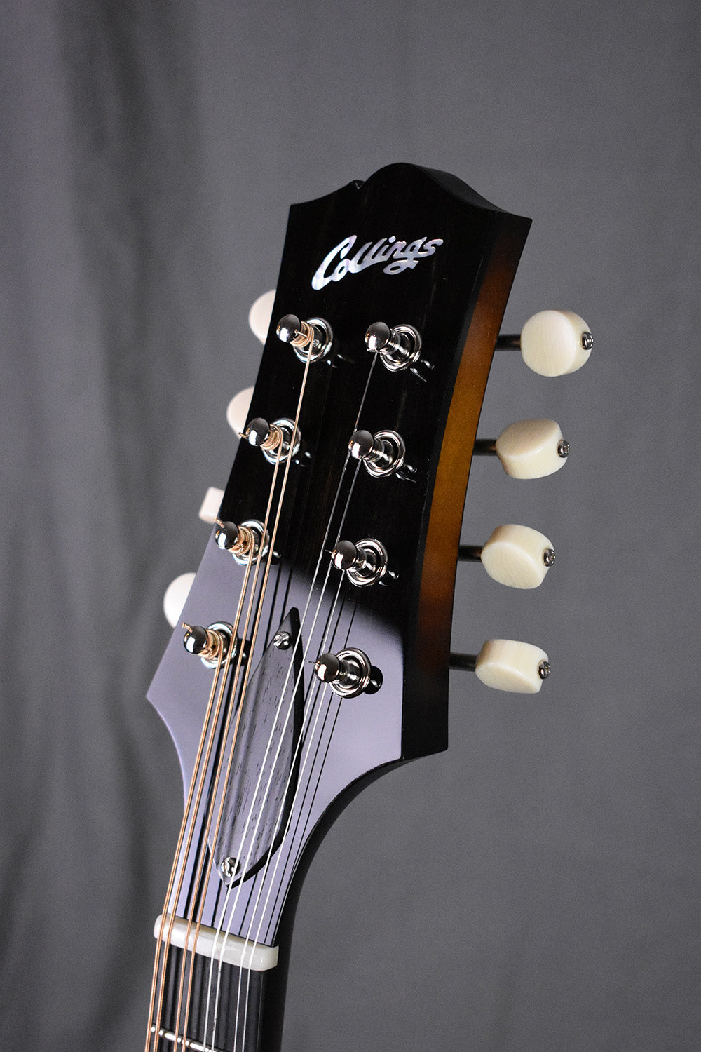 Collings MT Torrefied