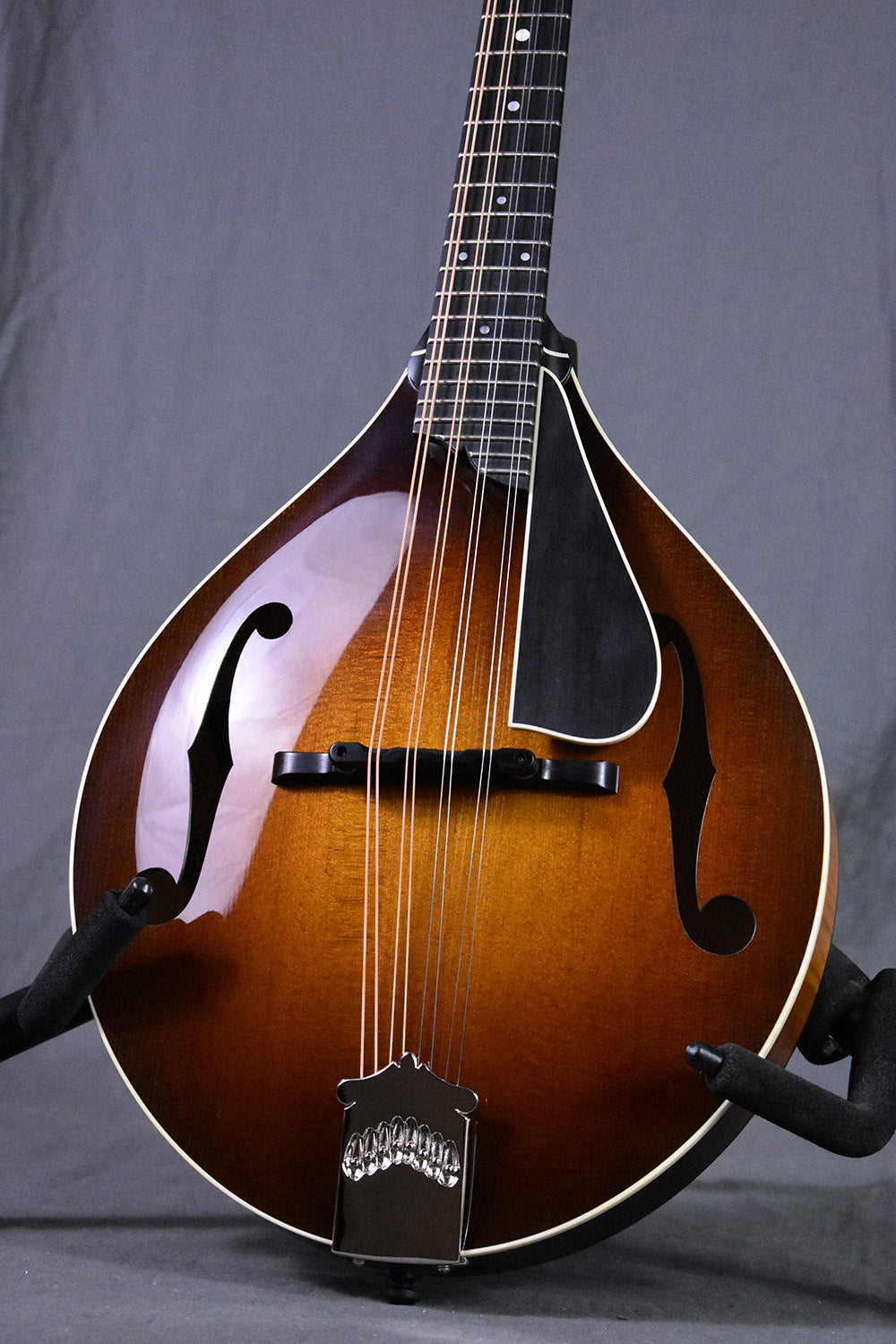 Collings MT Torrefied