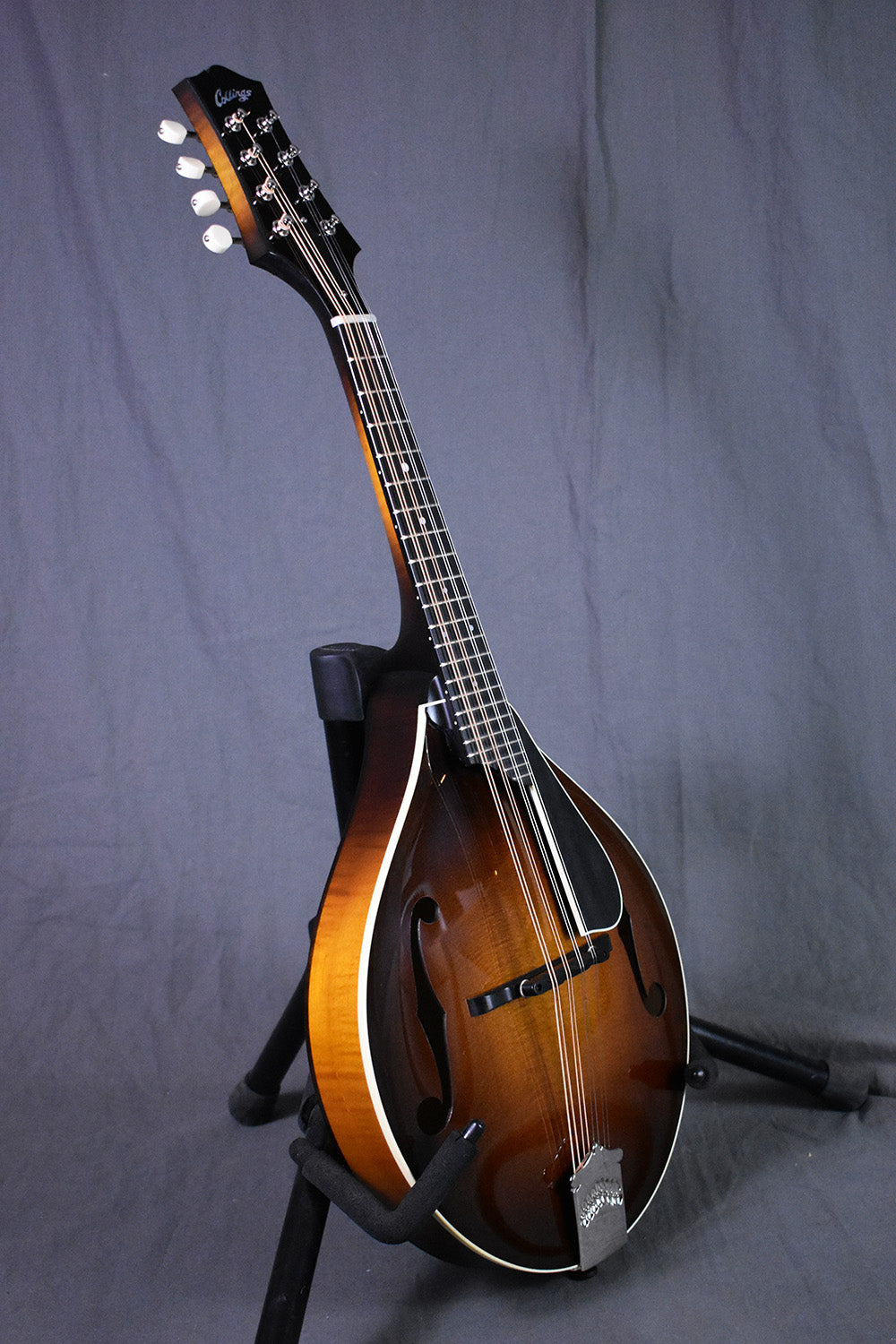 Collings MT Torrefied