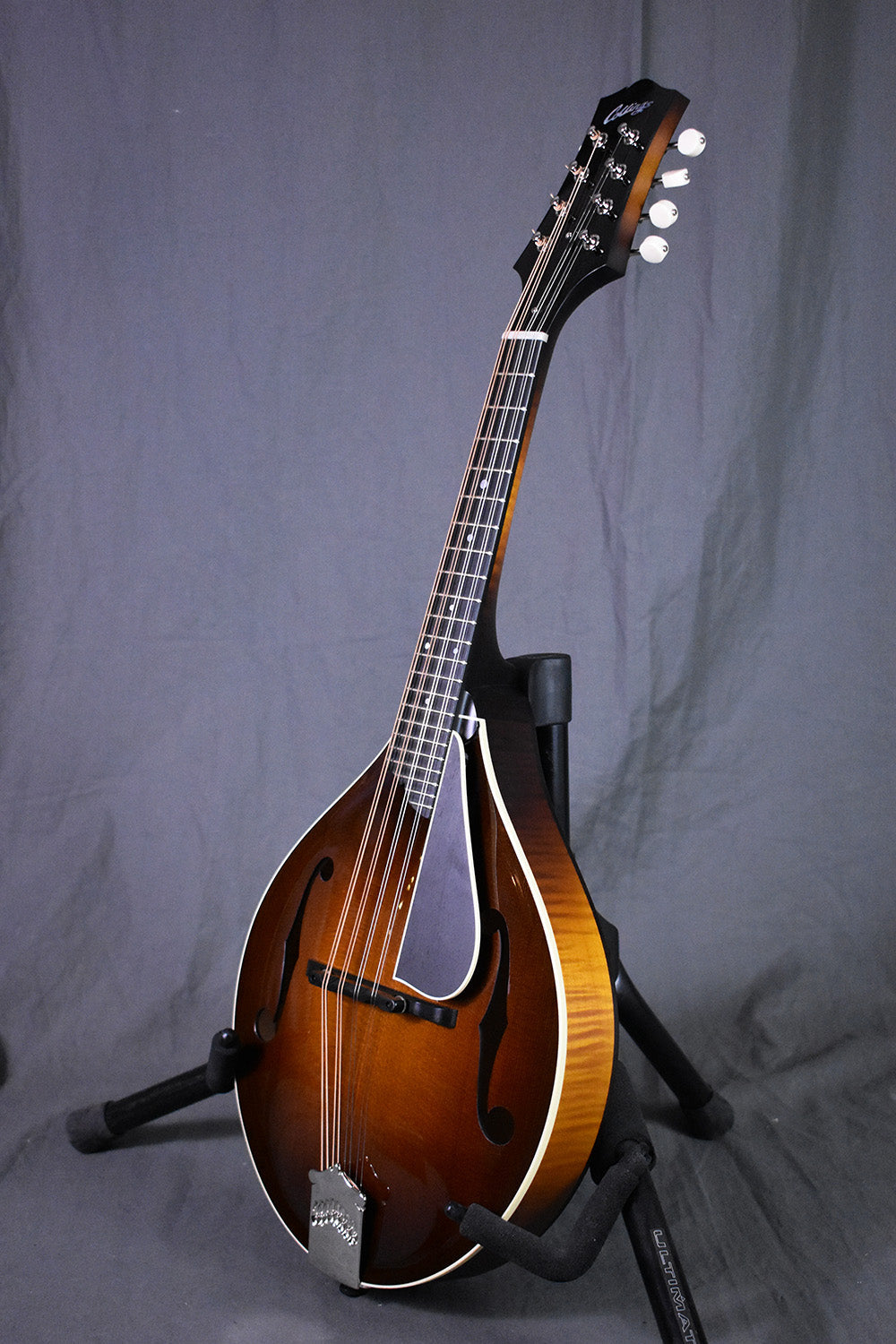 Collings MT Torrefied