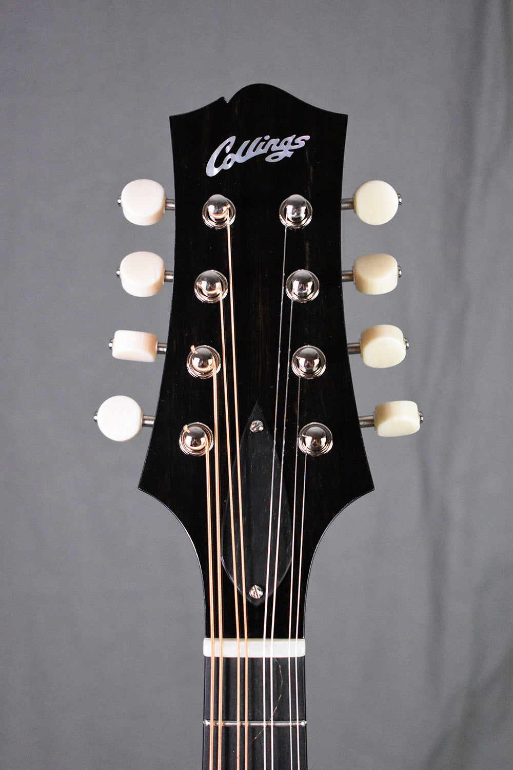 Collings MT Torrefied