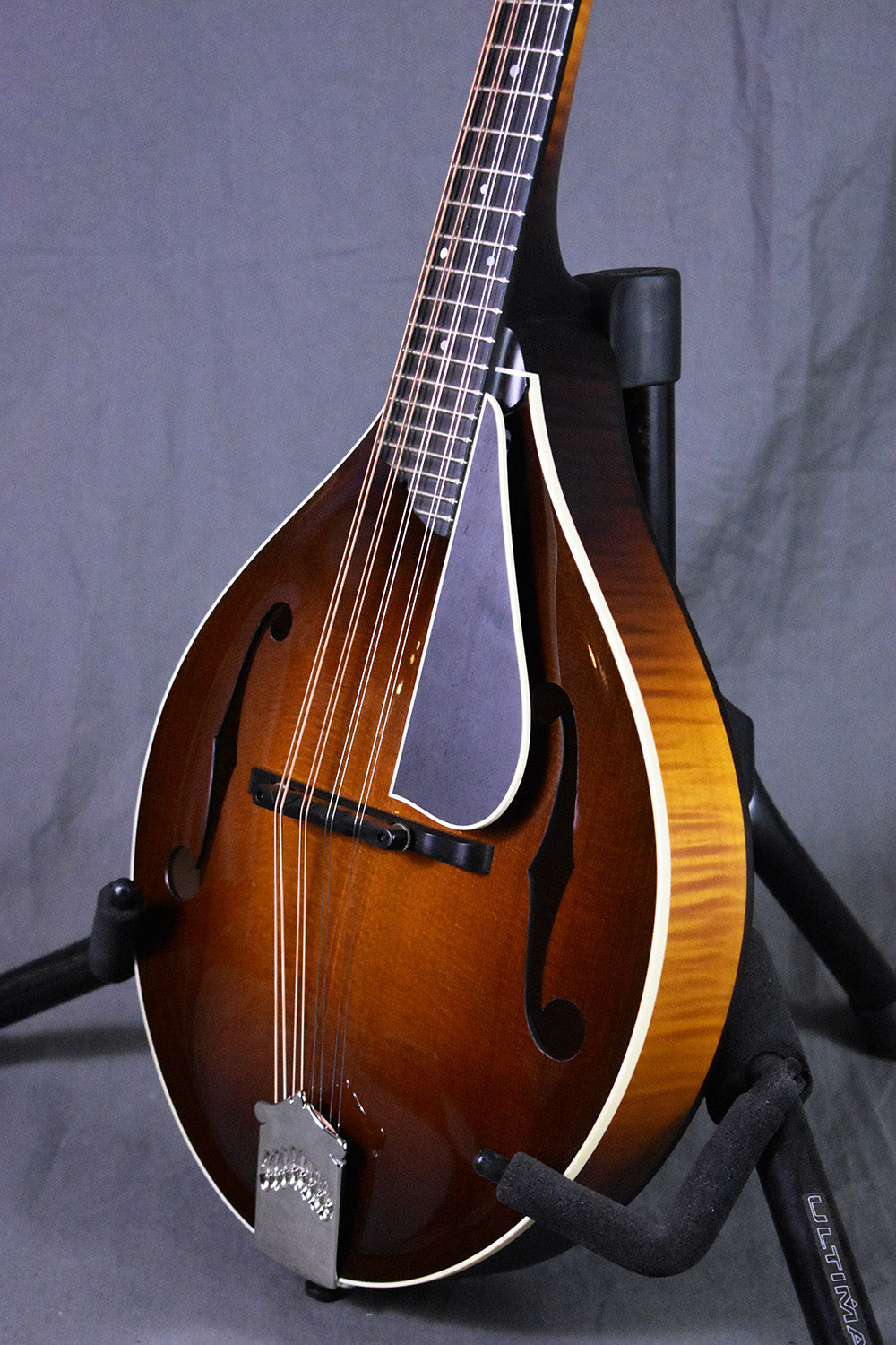 Collings MT Torrefied