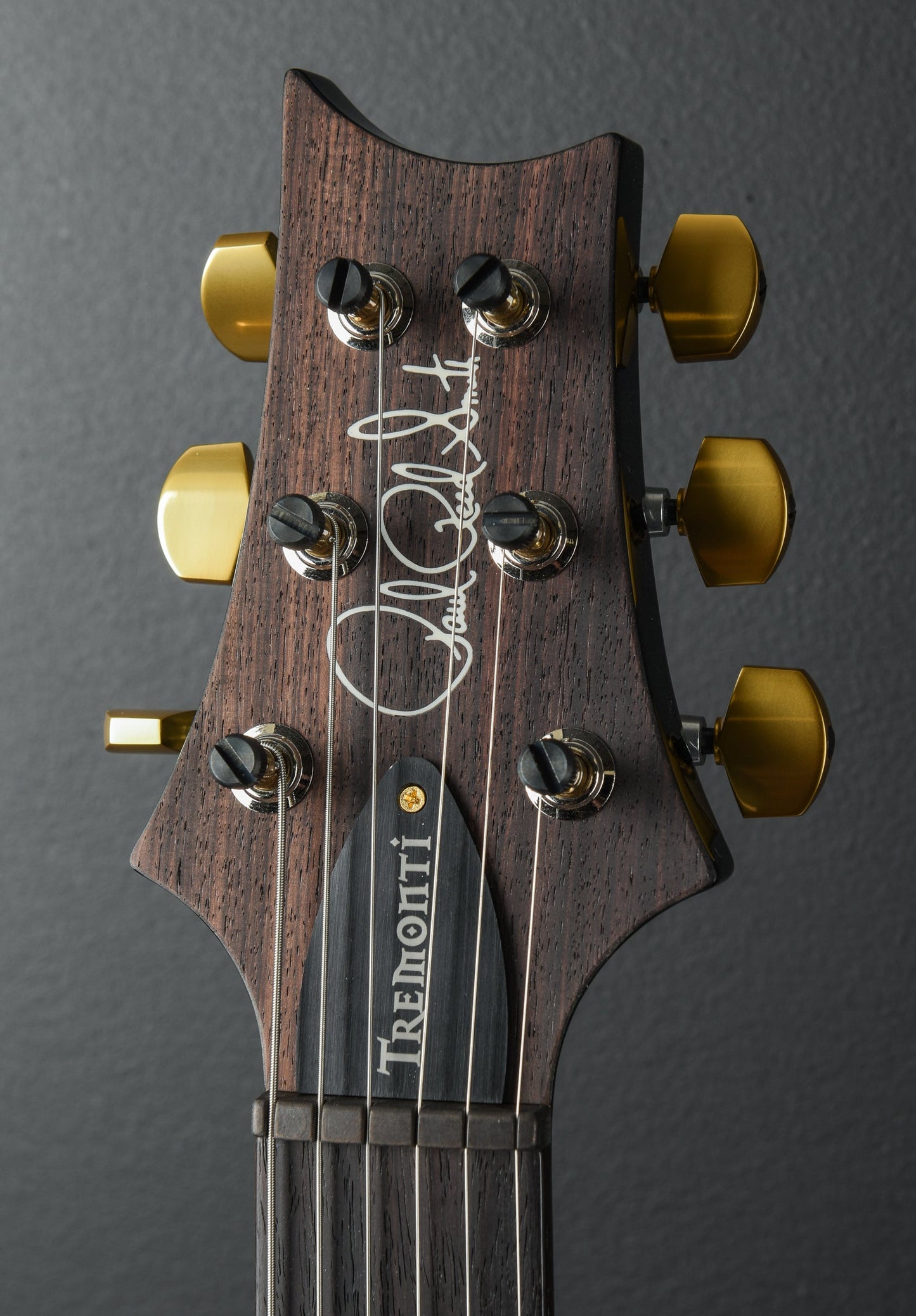 Mark Tremonti Signature 10 Top w/Tremolo - Gray Black