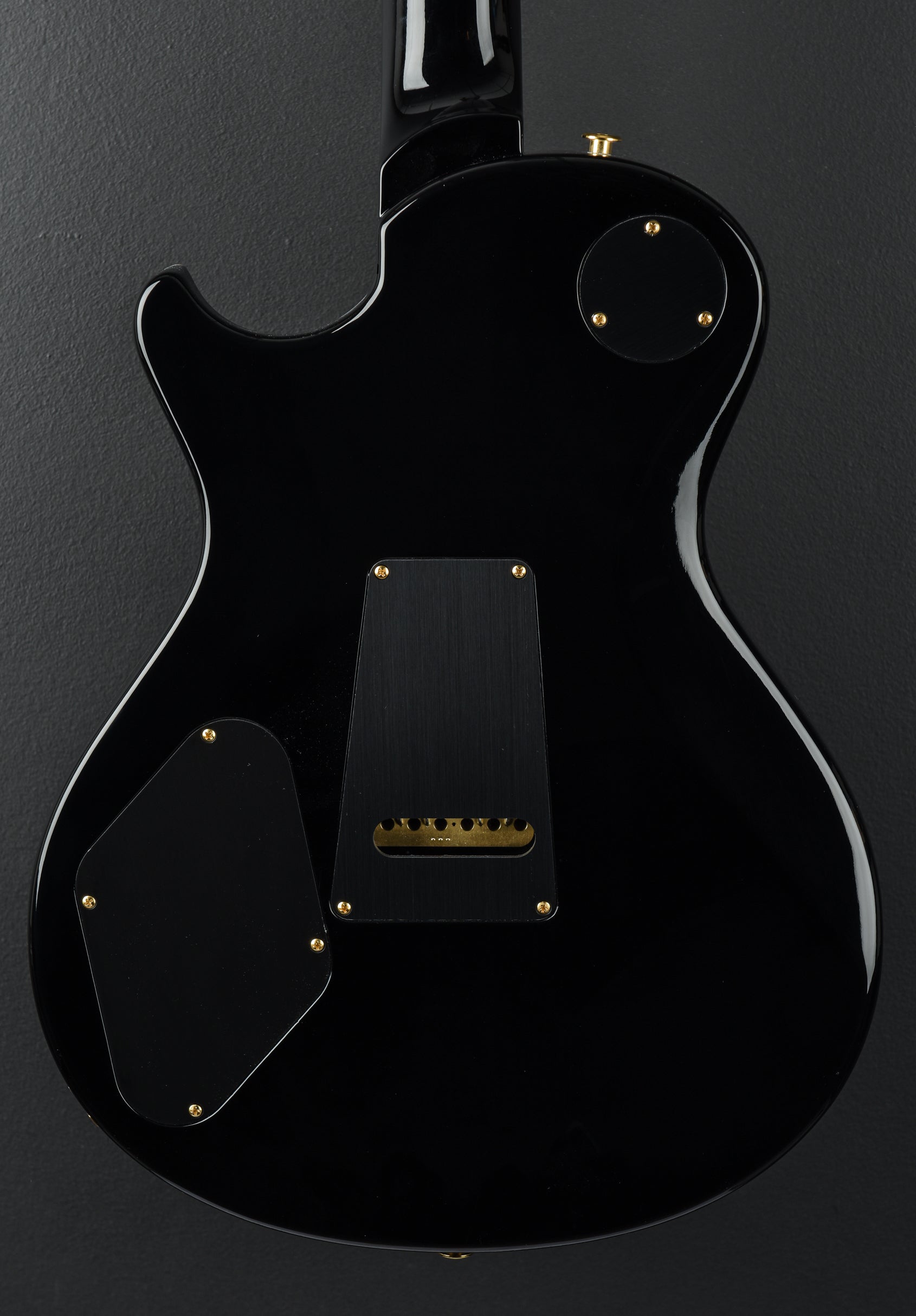 Mark Tremonti Signature 10 Top w/Tremolo - Gray Black