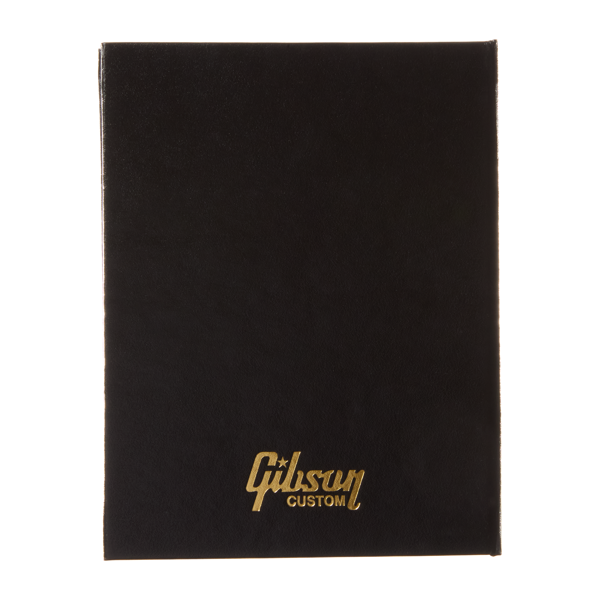 Gibson Custom Dave Grohl DG-335 Limited Edition, Alpine White