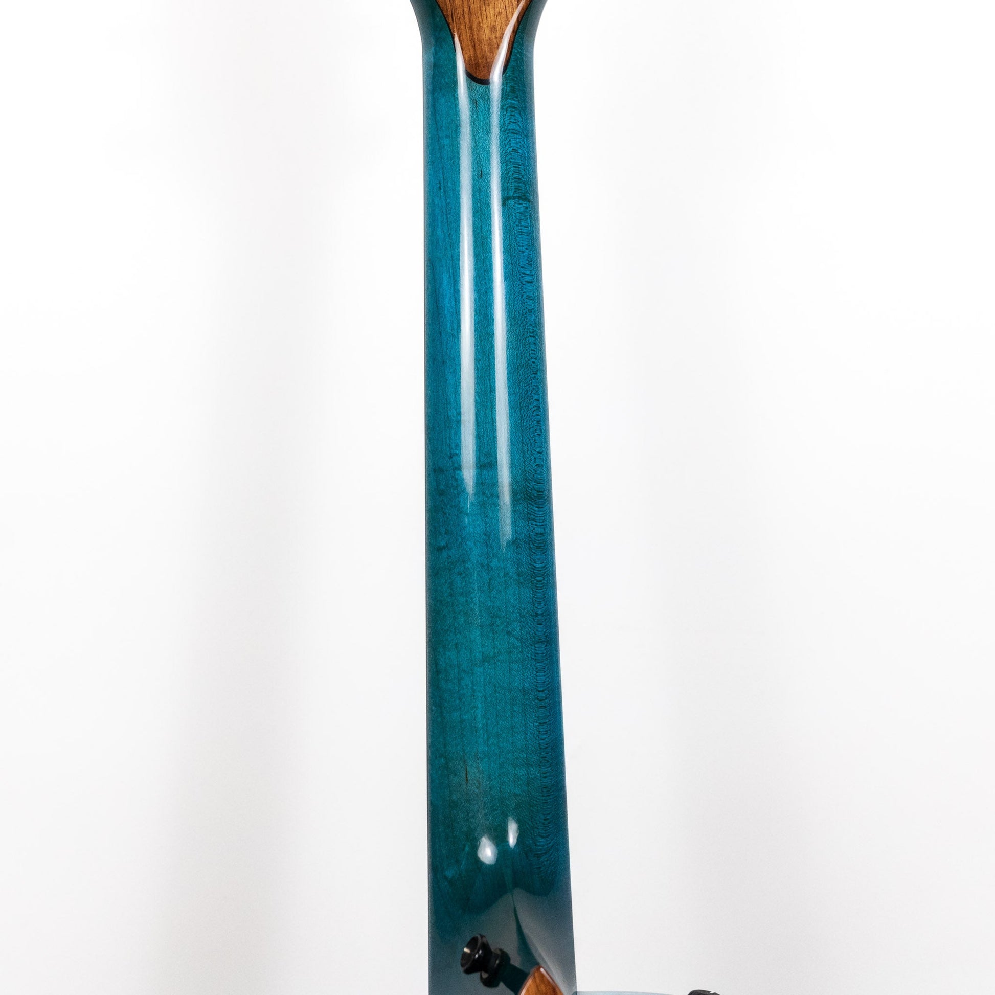 Taylor Custom Shop 'Catch' C14ce Lutz Spruce / Big Leaf Maple
