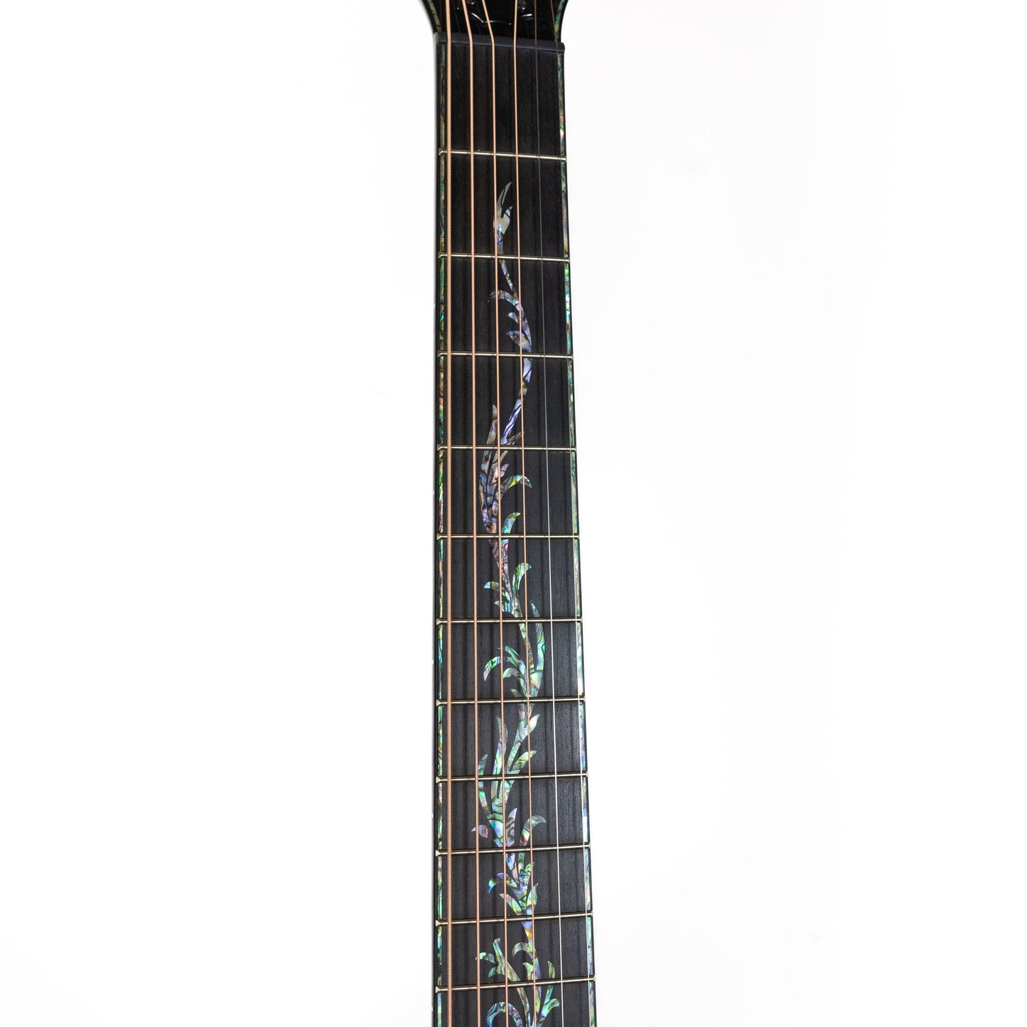 Taylor Custom Shop 'Catch' C14ce Lutz Spruce / Big Leaf Maple
