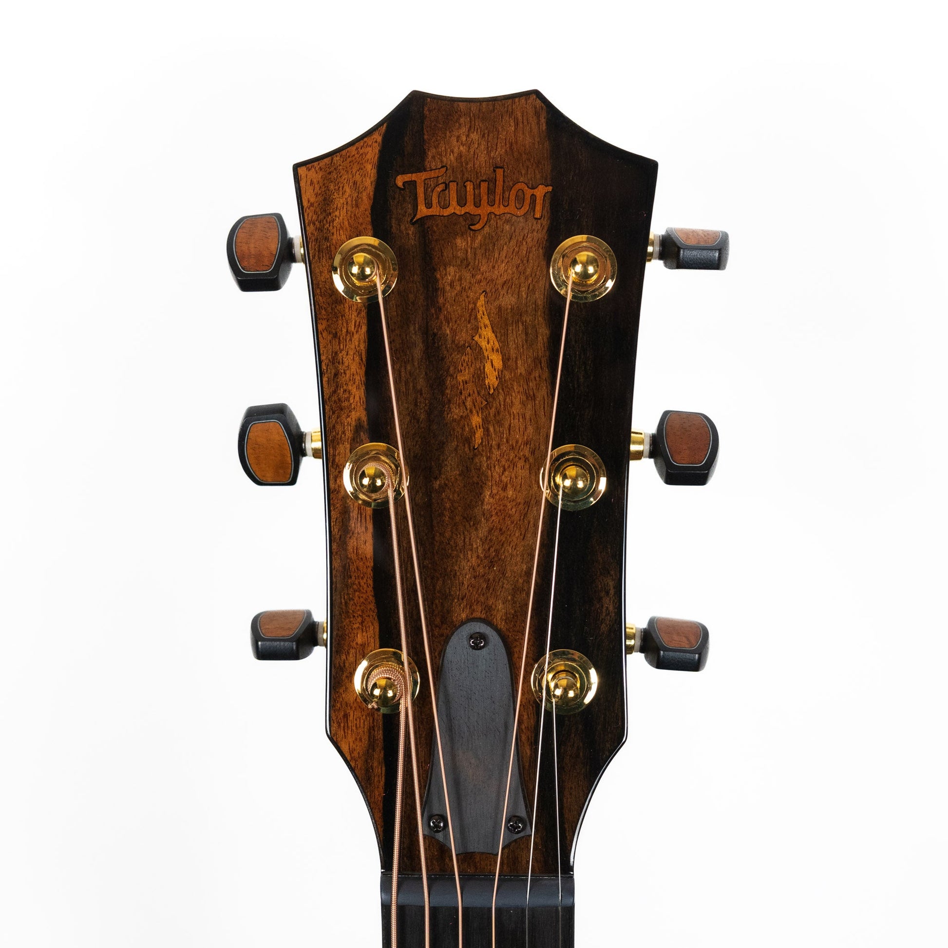 Taylor Custom Shop 'Catch' C14ce Sinker Cypress / Rosewood