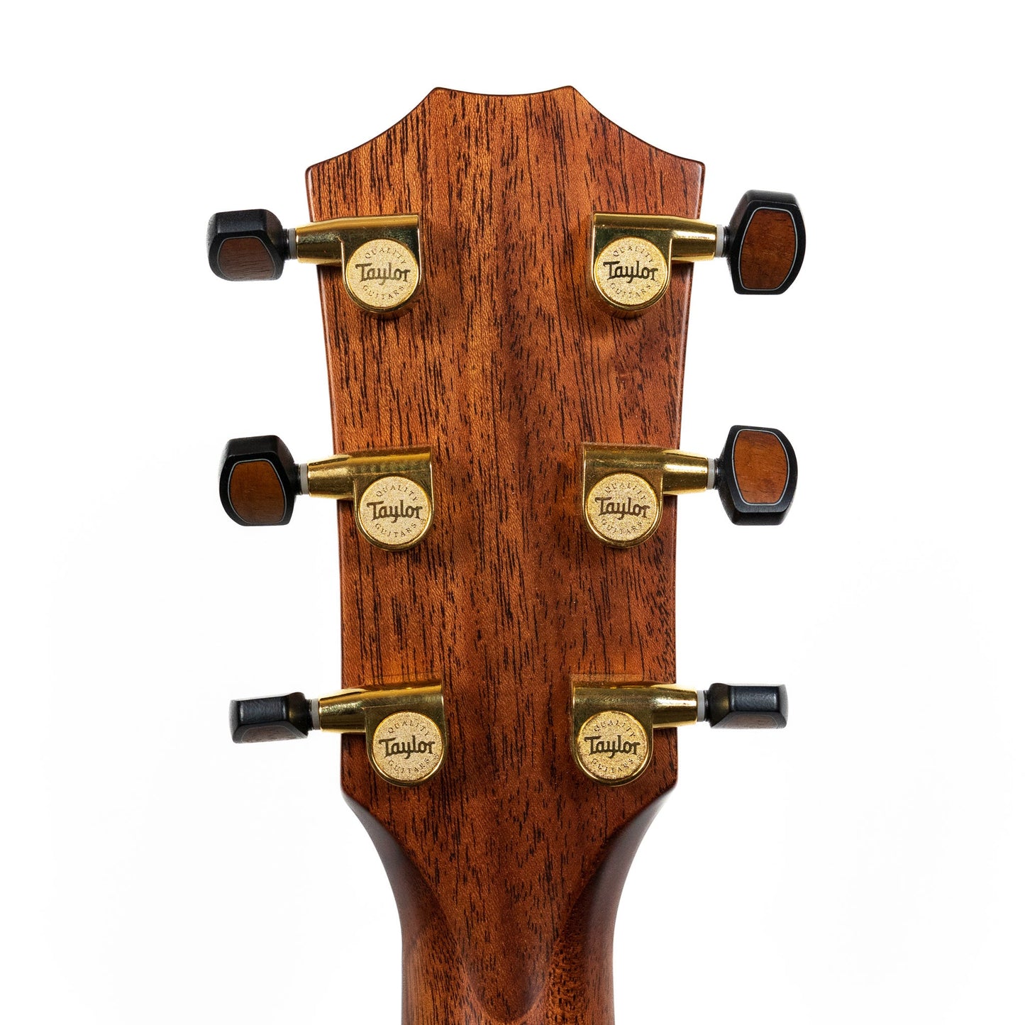 Taylor Custom Shop 'Catch' C14ce Sinker Cypress / Rosewood