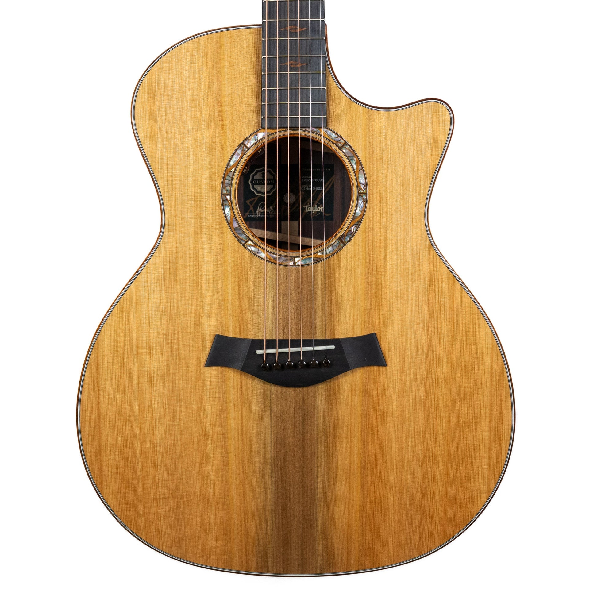 Taylor Custom Shop 'Catch' C14ce Sinker Cypress / Rosewood