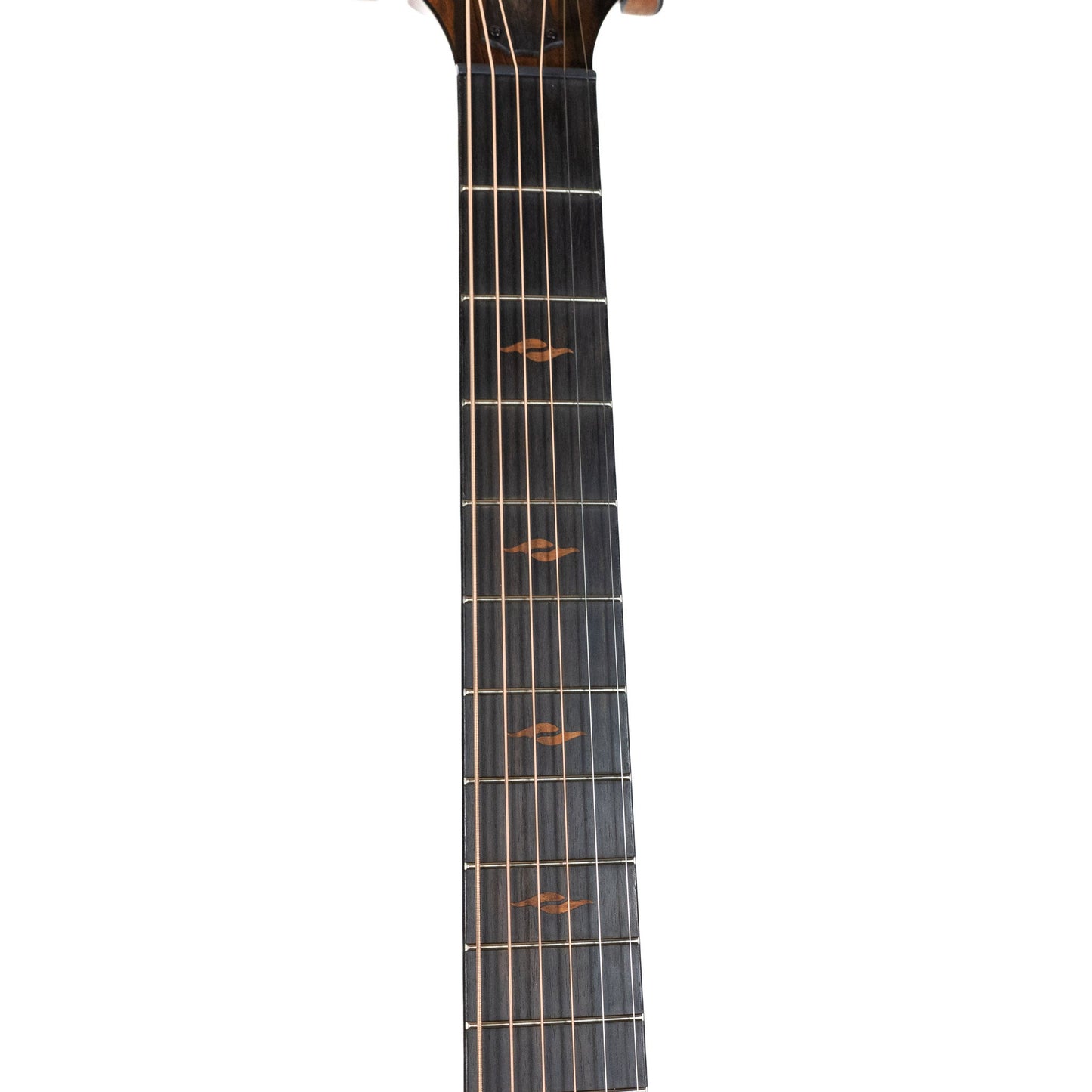 Taylor Custom Shop 'Catch' C14ce Sinker Cypress / Rosewood