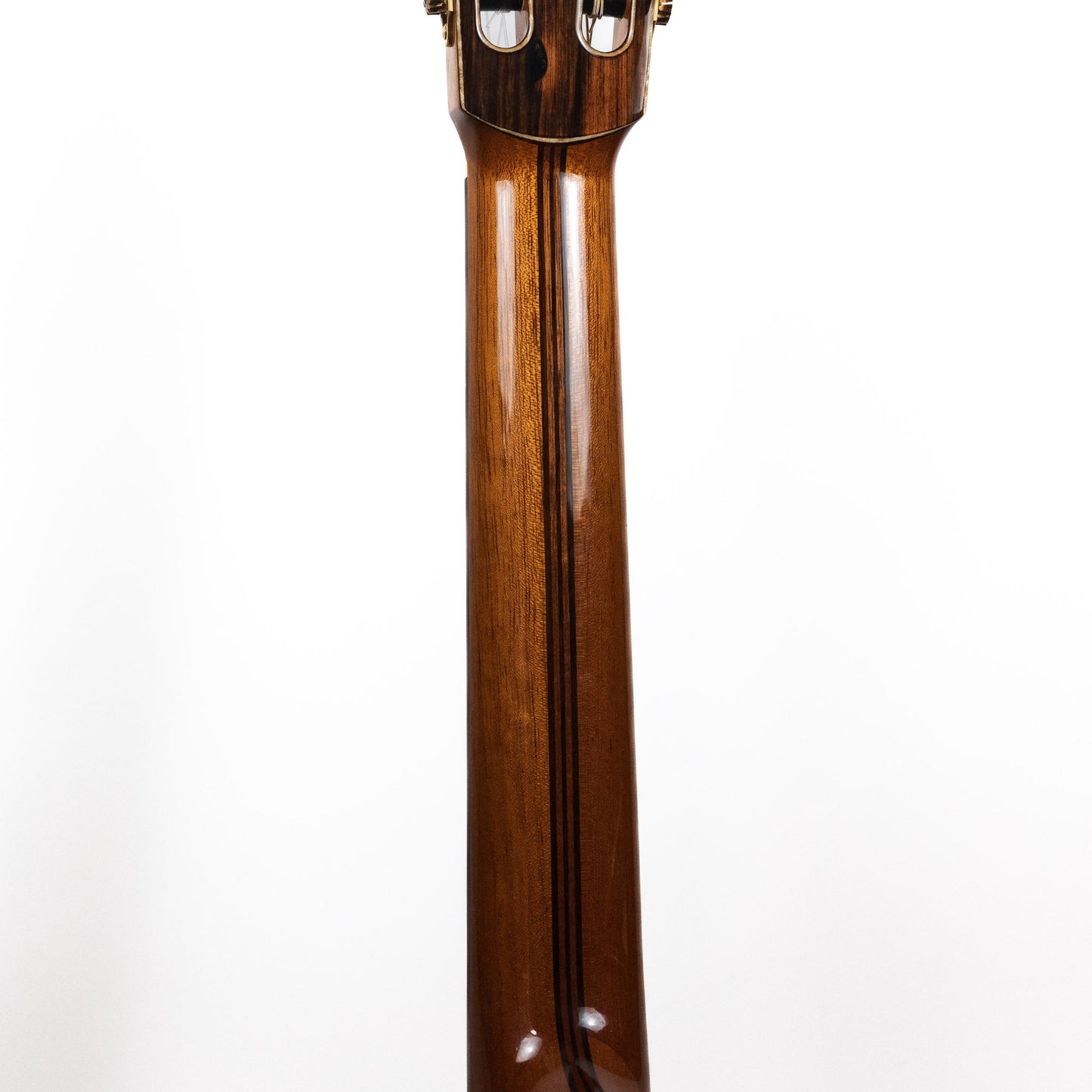 Hanika USED 2024 HE Torres, Macassar Ebony / Swiss Spruce
