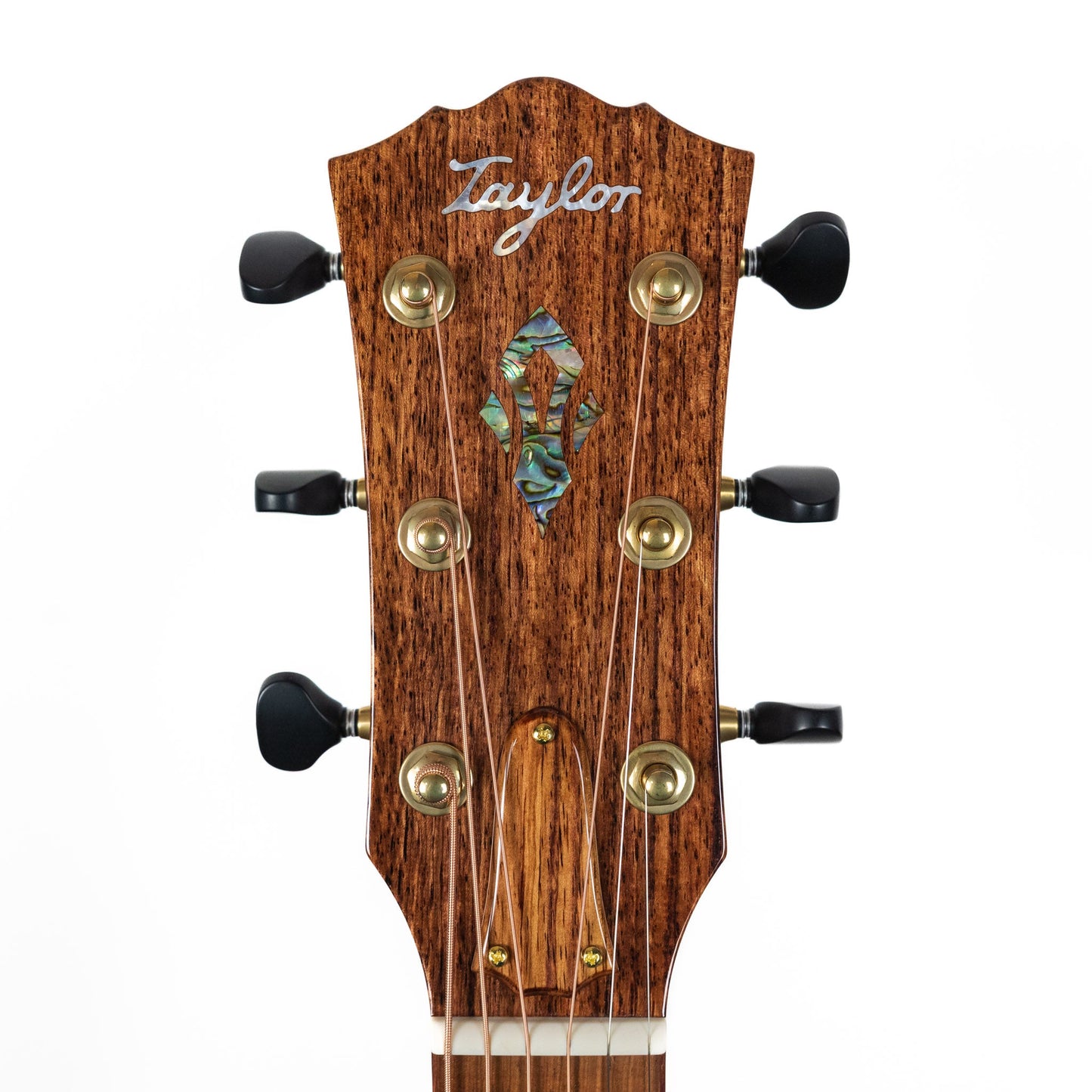 Taylor Custom Catch C14ce, Engelmann Spruce / East Indian Rosewood