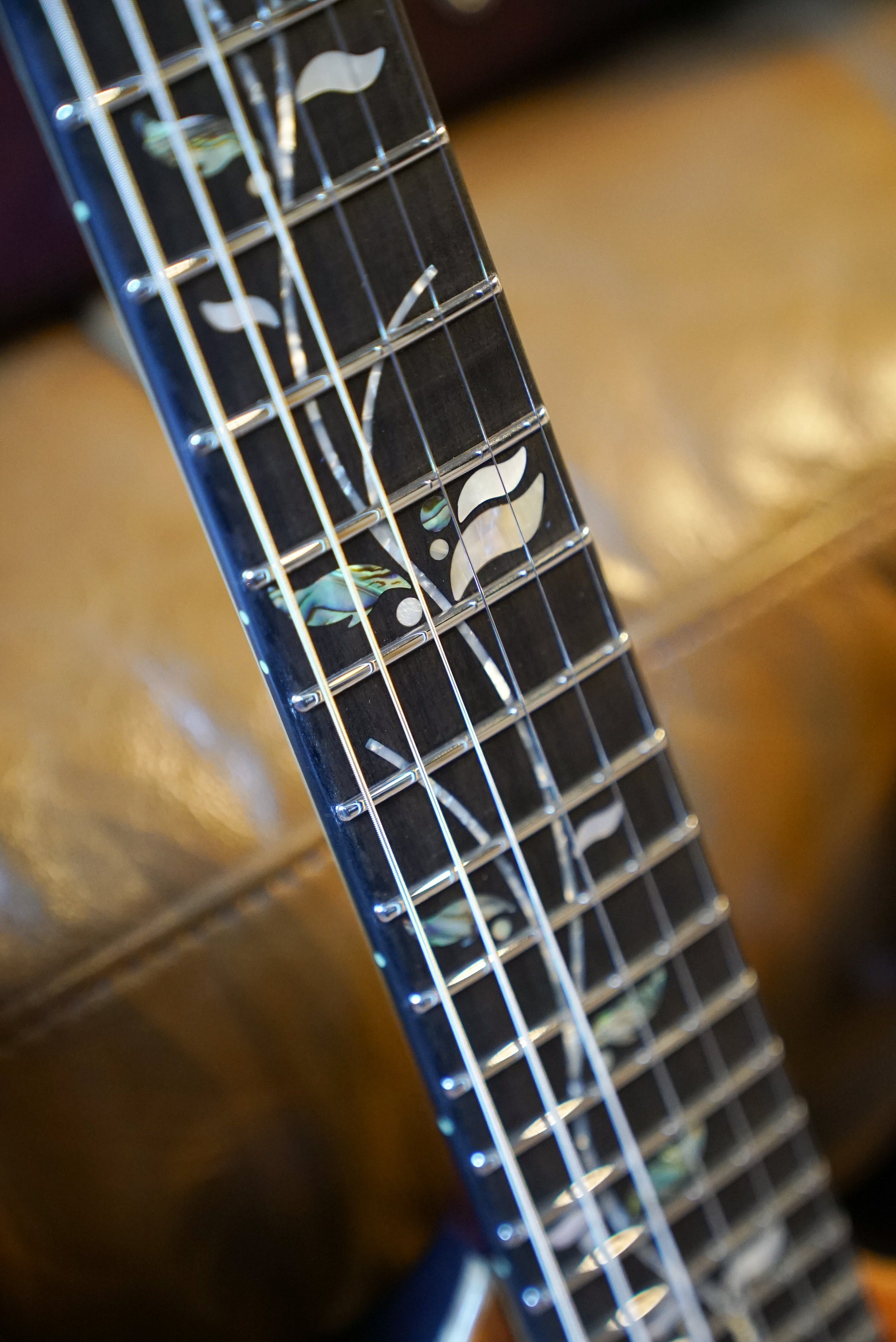 Ibanez IV1RG Visions
