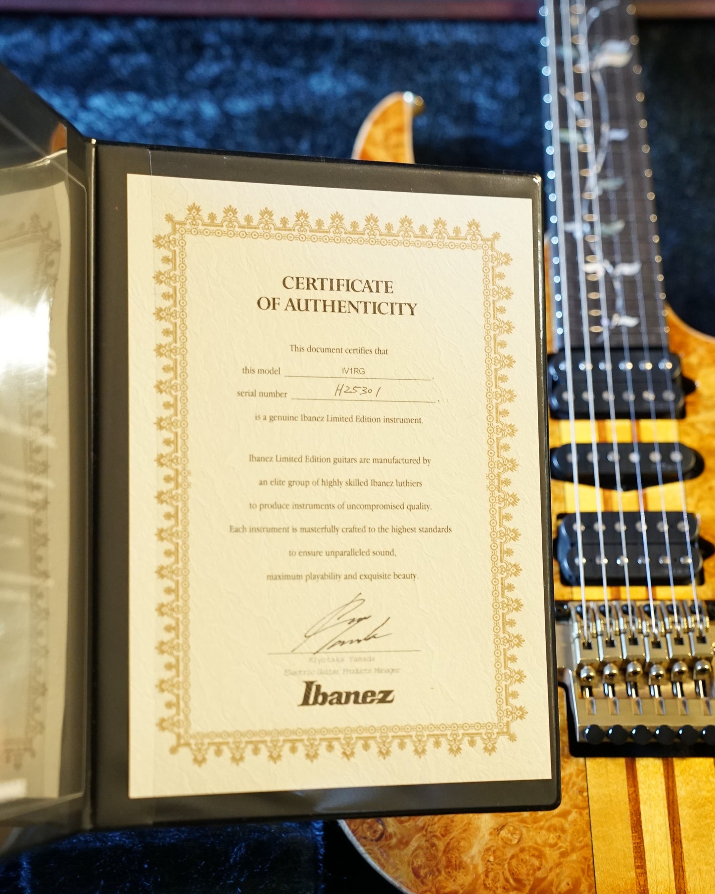 Ibanez IV1RG Visions